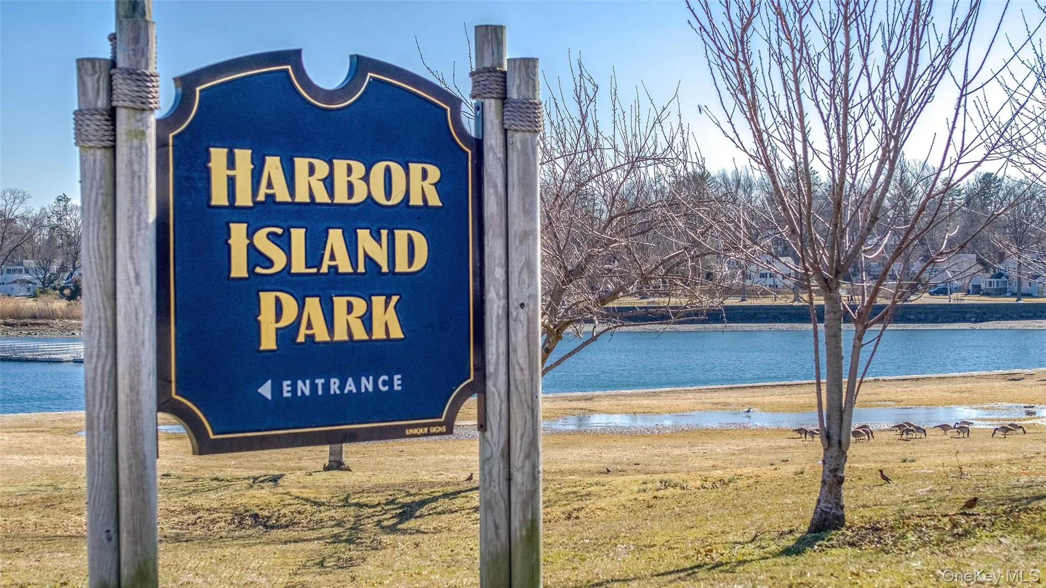 412 Munro Avenue, Mamaroneck, NY, 1 Bedroom Bedrooms, 4 Rooms Rooms,1 BathroomBathrooms,Residential Lease,For Rent,Munro,0,953171 412 Munro Avenue, Mamaroneck, NY, 1 Bedroom Bedrooms, 4 Rooms Rooms,1 BathroomBathrooms,Residential Lease,For Rent,Munro,0,953171