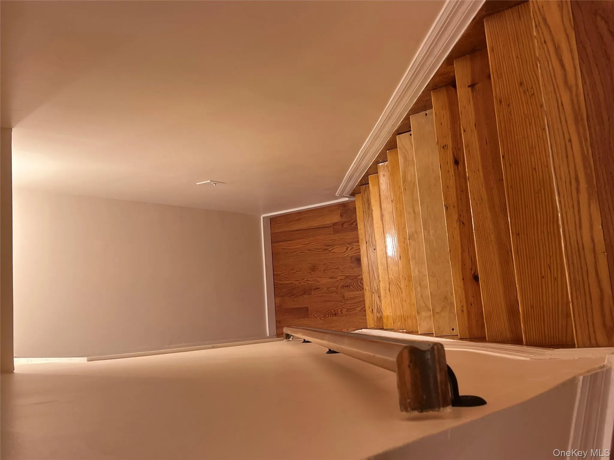 1031 Halsey Street, New York, NY, 3 Bedrooms Bedrooms, 5 Rooms Rooms,2 BathroomsBathrooms,Residential Lease,Idx,Halsey,0,953301 1031 Halsey Street, New York, NY, 3 Bedrooms Bedrooms, 5 Rooms Rooms,2 BathroomsBathrooms,Residential Lease,Idx,Halsey,0,953301