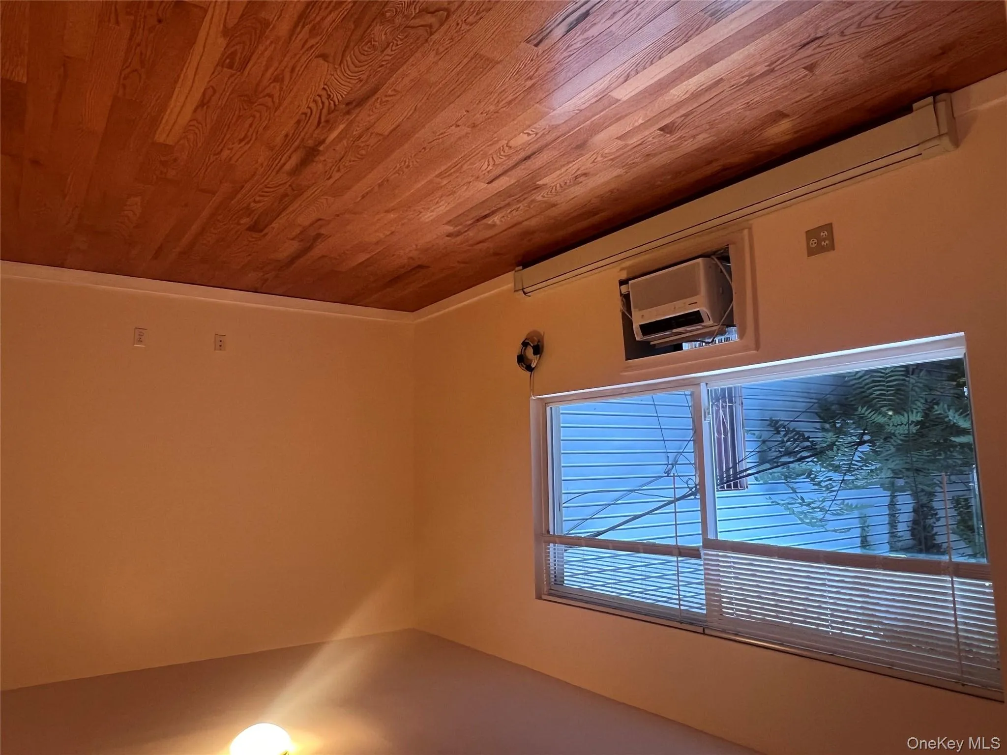 1031 Halsey Street, New York, NY, 3 Bedrooms Bedrooms, 5 Rooms Rooms,2 BathroomsBathrooms,Residential Lease,Idx,Halsey,0,953301 1031 Halsey Street, New York, NY, 3 Bedrooms Bedrooms, 5 Rooms Rooms,2 BathroomsBathrooms,Residential Lease,Idx,Halsey,0,953301