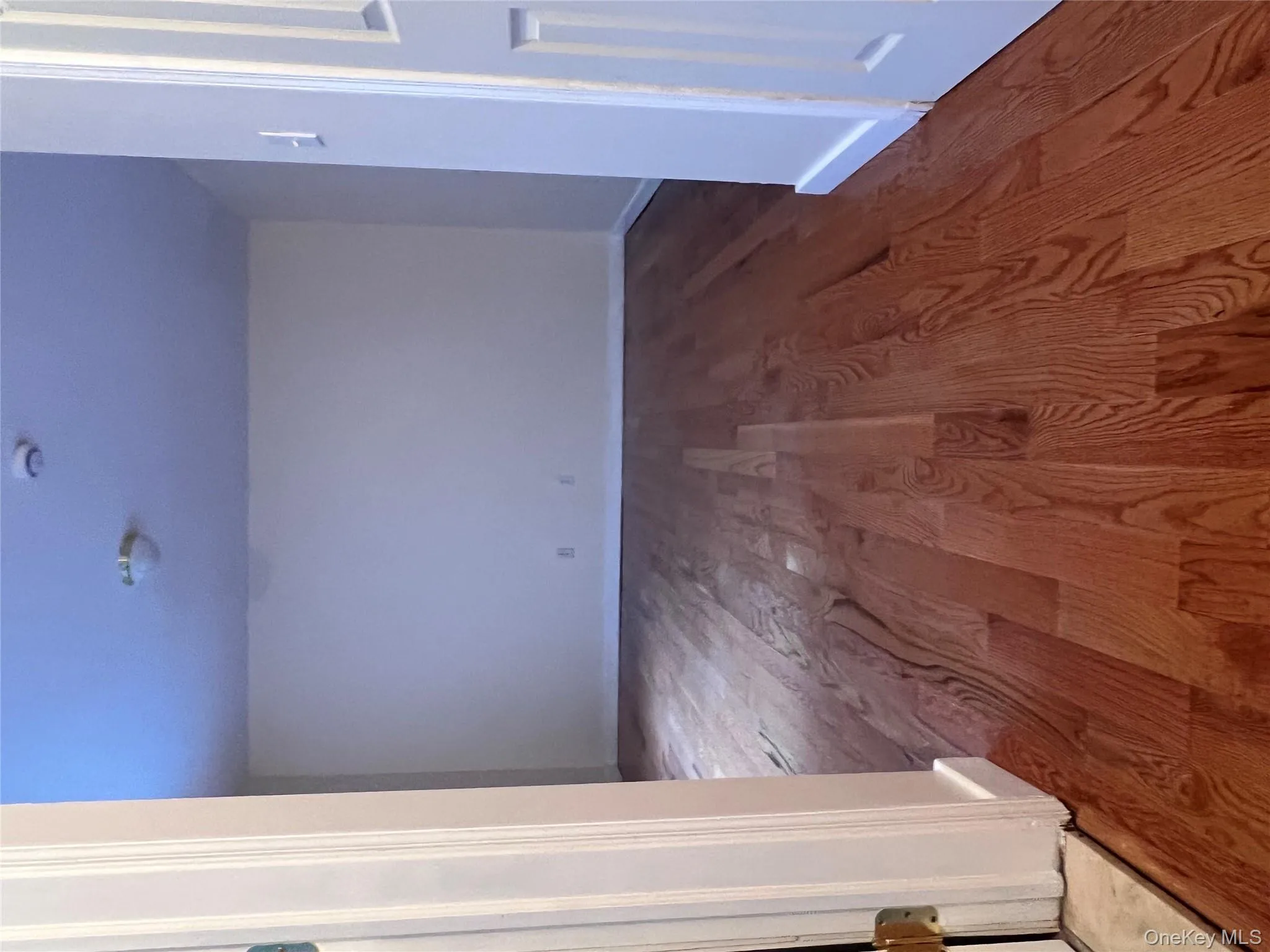 1031 Halsey Street, New York, NY, 3 Bedrooms Bedrooms, 5 Rooms Rooms,2 BathroomsBathrooms,Residential Lease,Idx,Halsey,0,953301 1031 Halsey Street, New York, NY, 3 Bedrooms Bedrooms, 5 Rooms Rooms,2 BathroomsBathrooms,Residential Lease,Idx,Halsey,0,953301