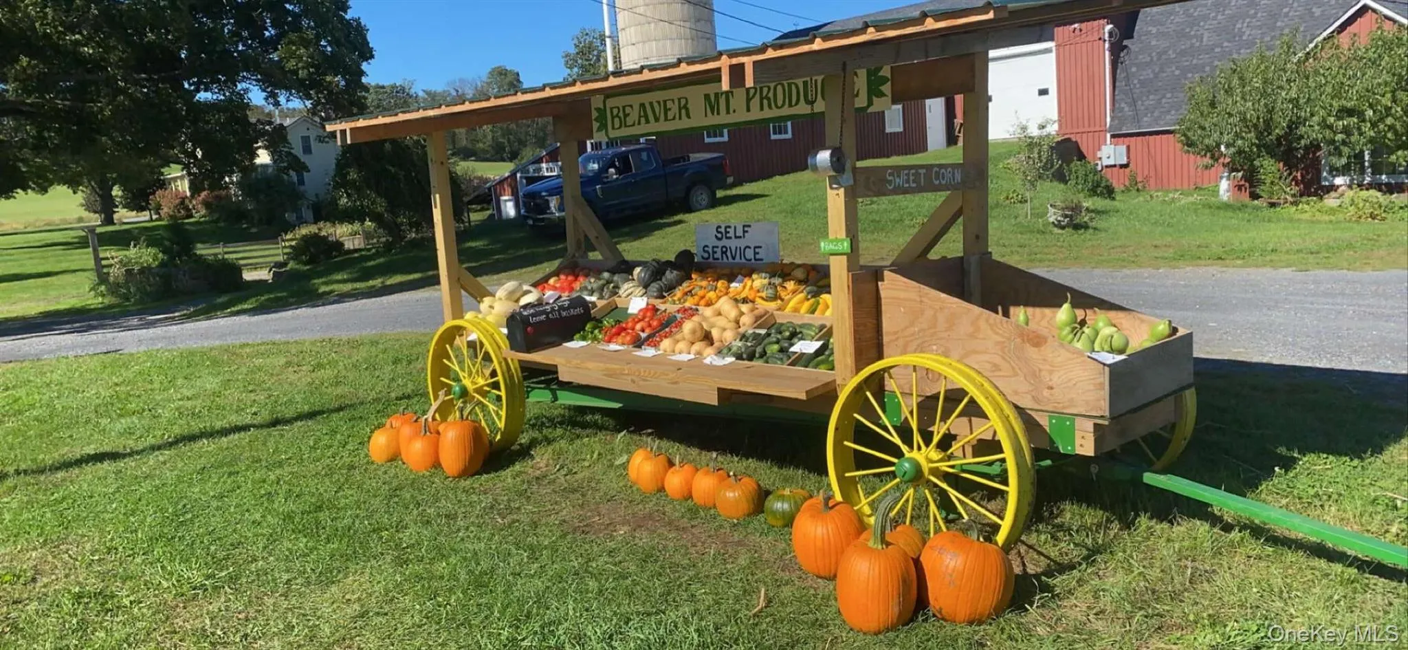 Grow your organic vegetables on your farmland Grow your organic vegetables on your farmland