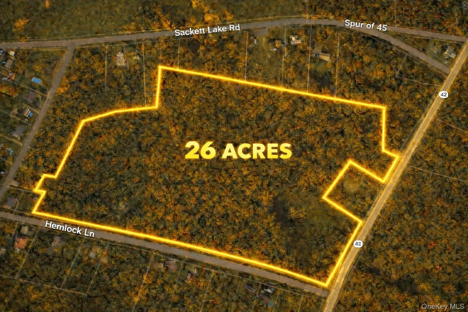 State Route 42, Thompson, NY, ,Land,For Rent,State Route 42,0,953378 State Route 42, Thompson, NY, ,Land,For Rent,State Route 42,0,953378