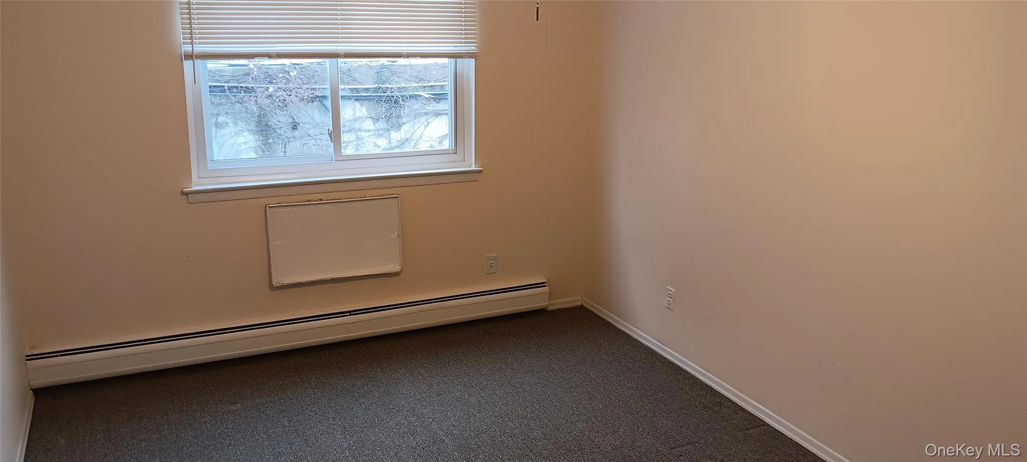 Spare room with a baseboard radiator and dark colored carpet Spare room with a baseboard radiator and dark colored carpet