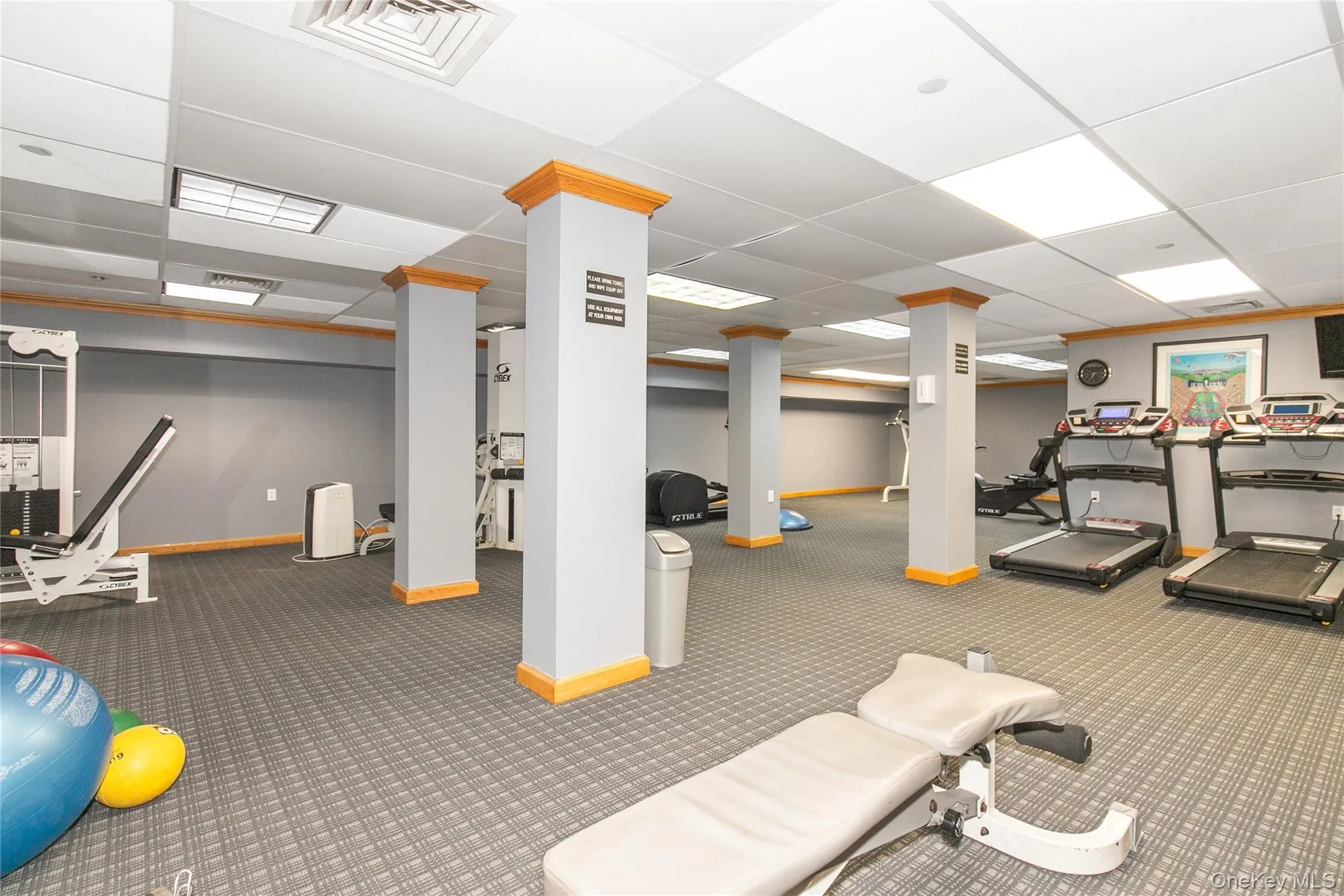 12 Bond Street, North Hempstead, NY, 2 Bedrooms Bedrooms, 5 Rooms Rooms,2 BathroomsBathrooms,Residential Lease,Idx,Bond,0,953453 12 Bond Street, North Hempstead, NY, 2 Bedrooms Bedrooms, 5 Rooms Rooms,2 BathroomsBathrooms,Residential Lease,Idx,Bond,0,953453