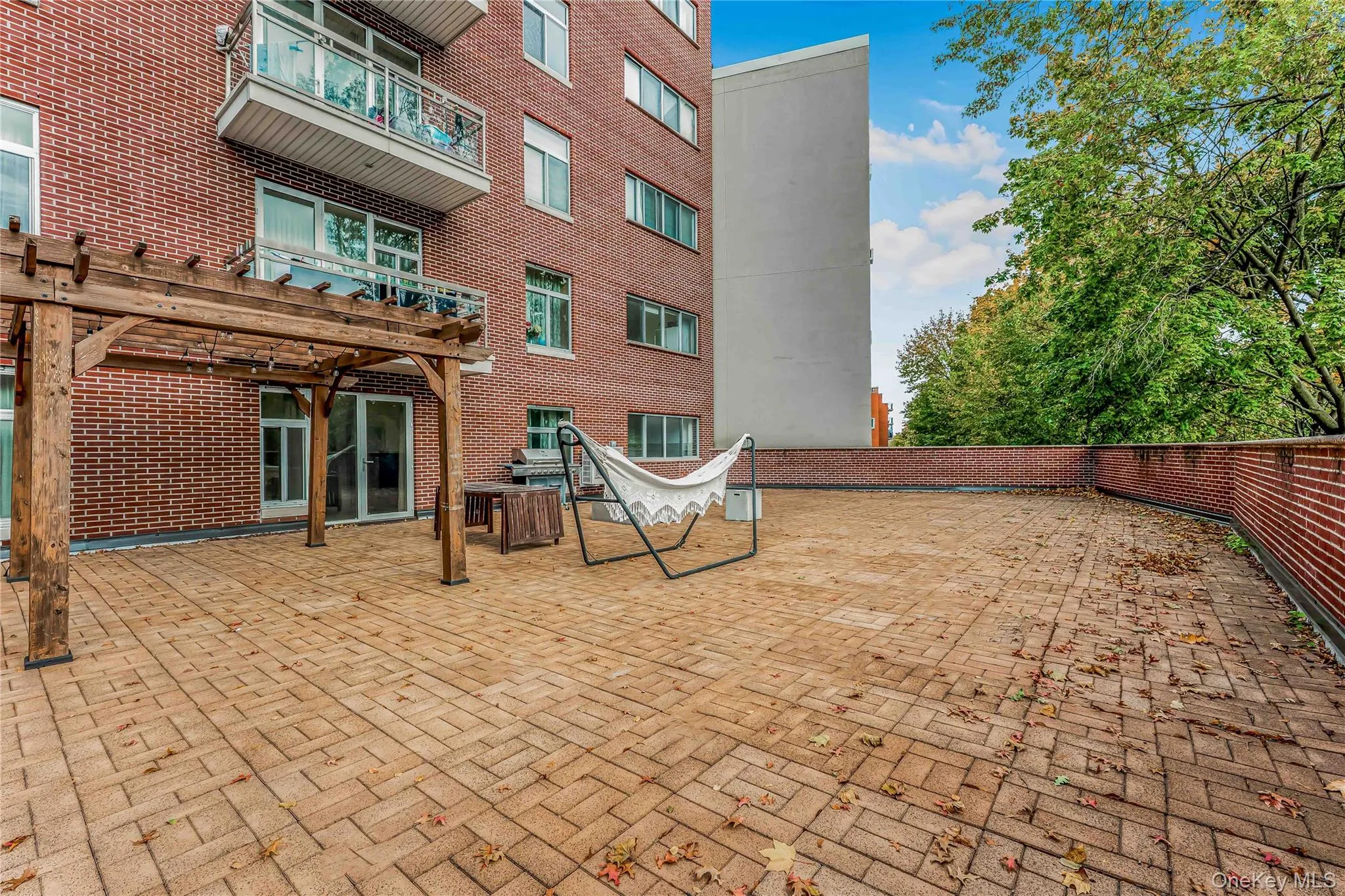 6538 austin st, New York, NY, 2 Bedrooms Bedrooms, 4 Rooms Rooms,2 BathroomsBathrooms,Residential,For Rent,austin st,0,953503 6538 austin st, New York, NY, 2 Bedrooms Bedrooms, 4 Rooms Rooms,2 BathroomsBathrooms,Residential,For Rent,austin st,0,953503