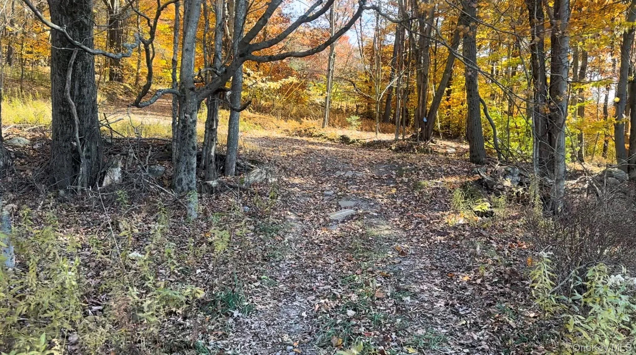 Road onto the property Road onto the property