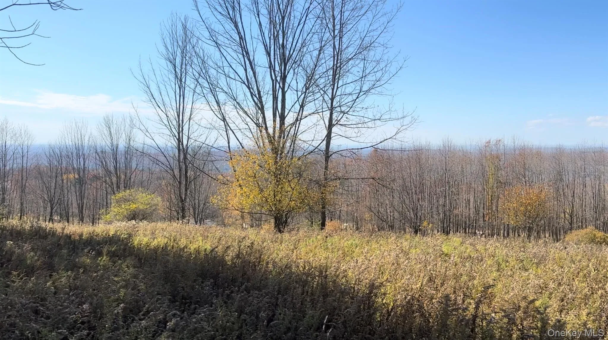 Chaffee Road, Liberty, NY, ,Land,For Rent,Chaffee,0,953506 Chaffee Road, Liberty, NY, ,Land,For Rent,Chaffee,0,953506