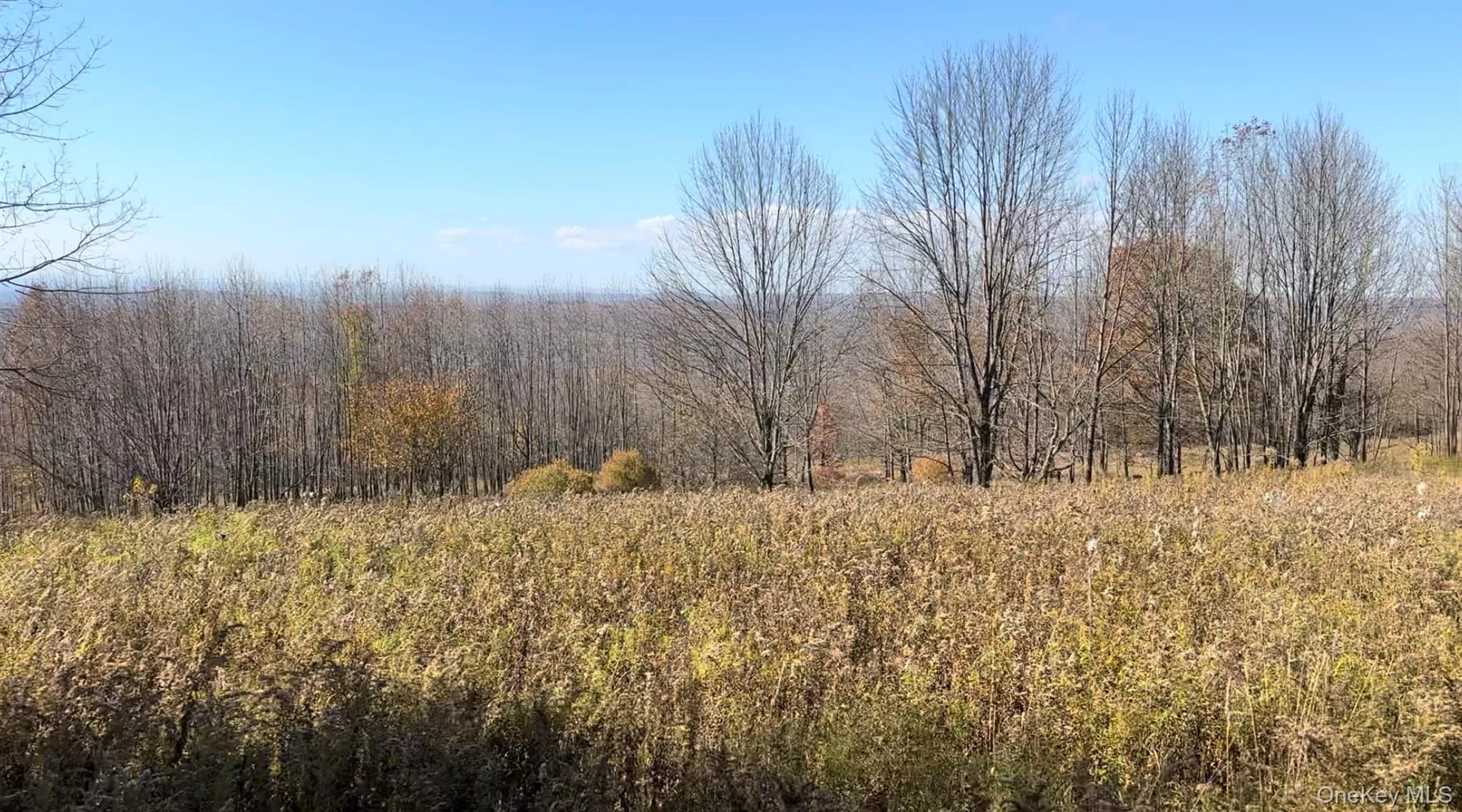 Cleared Land Cleared Land