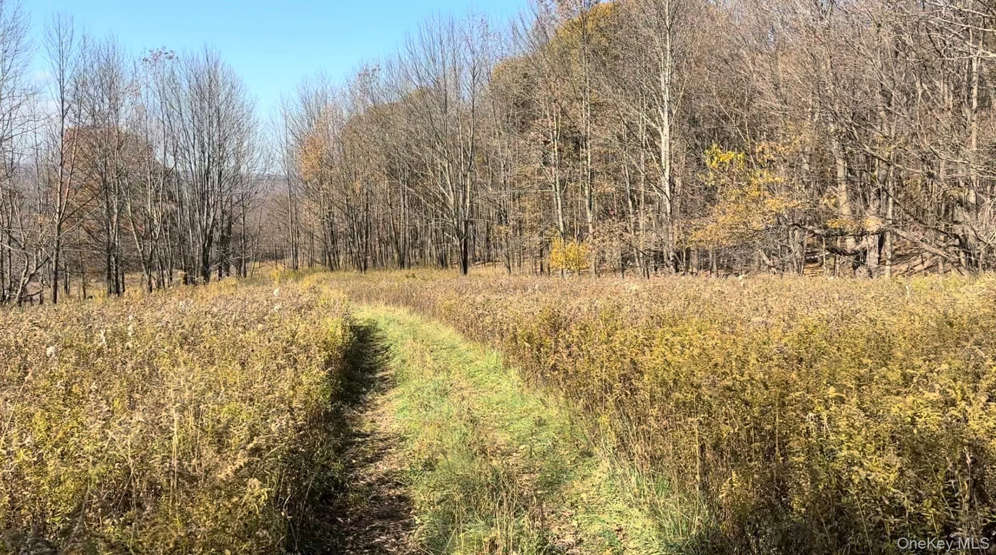 Road on the property Road on the property