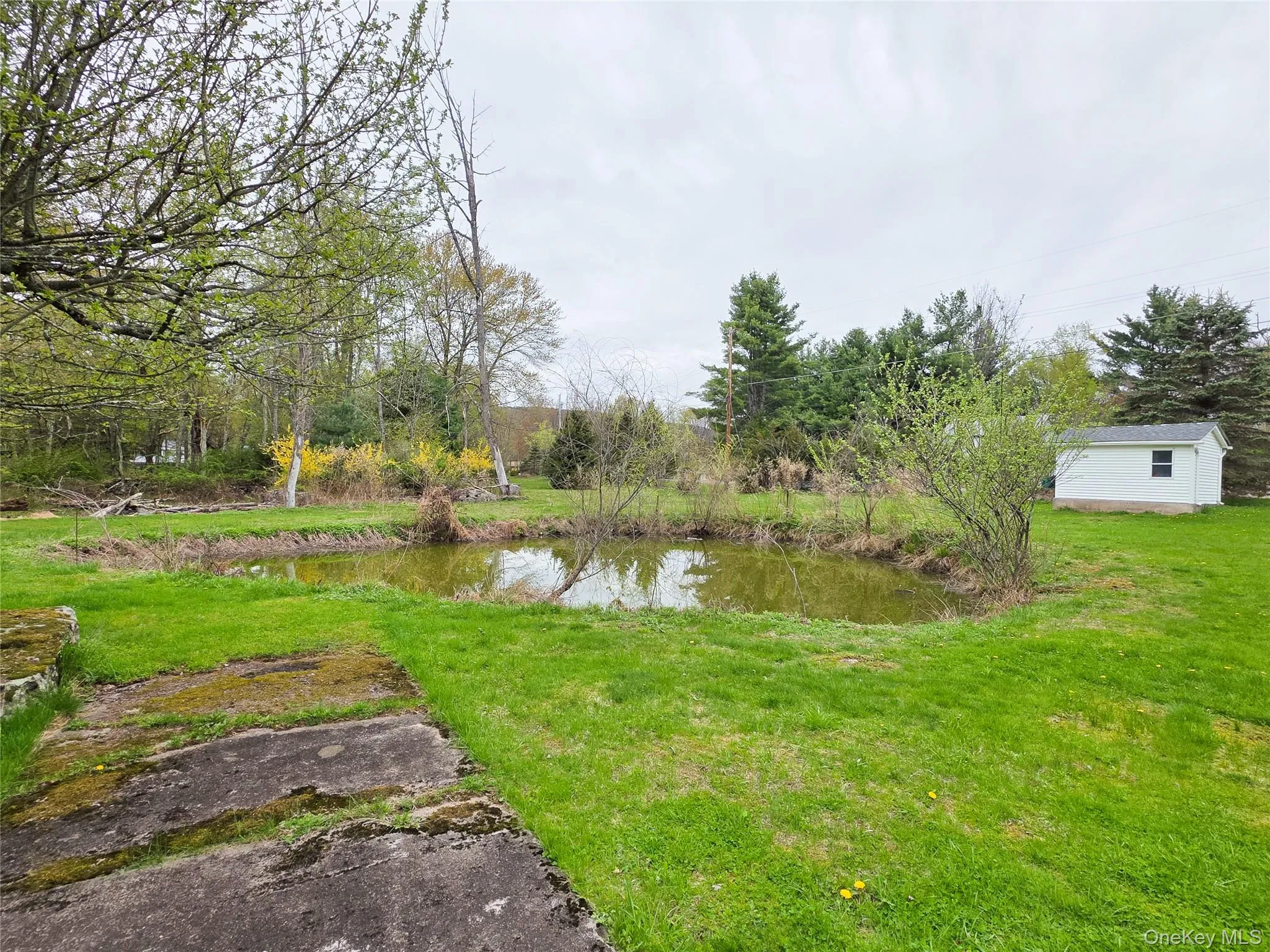 50 Low Road, Neversink, NY, 3 Bedrooms Bedrooms, 5 Rooms Rooms,1 BathroomBathrooms,Residential,For Rent,Low,0,953573 50 Low Road, Neversink, NY, 3 Bedrooms Bedrooms, 5 Rooms Rooms,1 BathroomBathrooms,Residential,For Rent,Low,0,953573