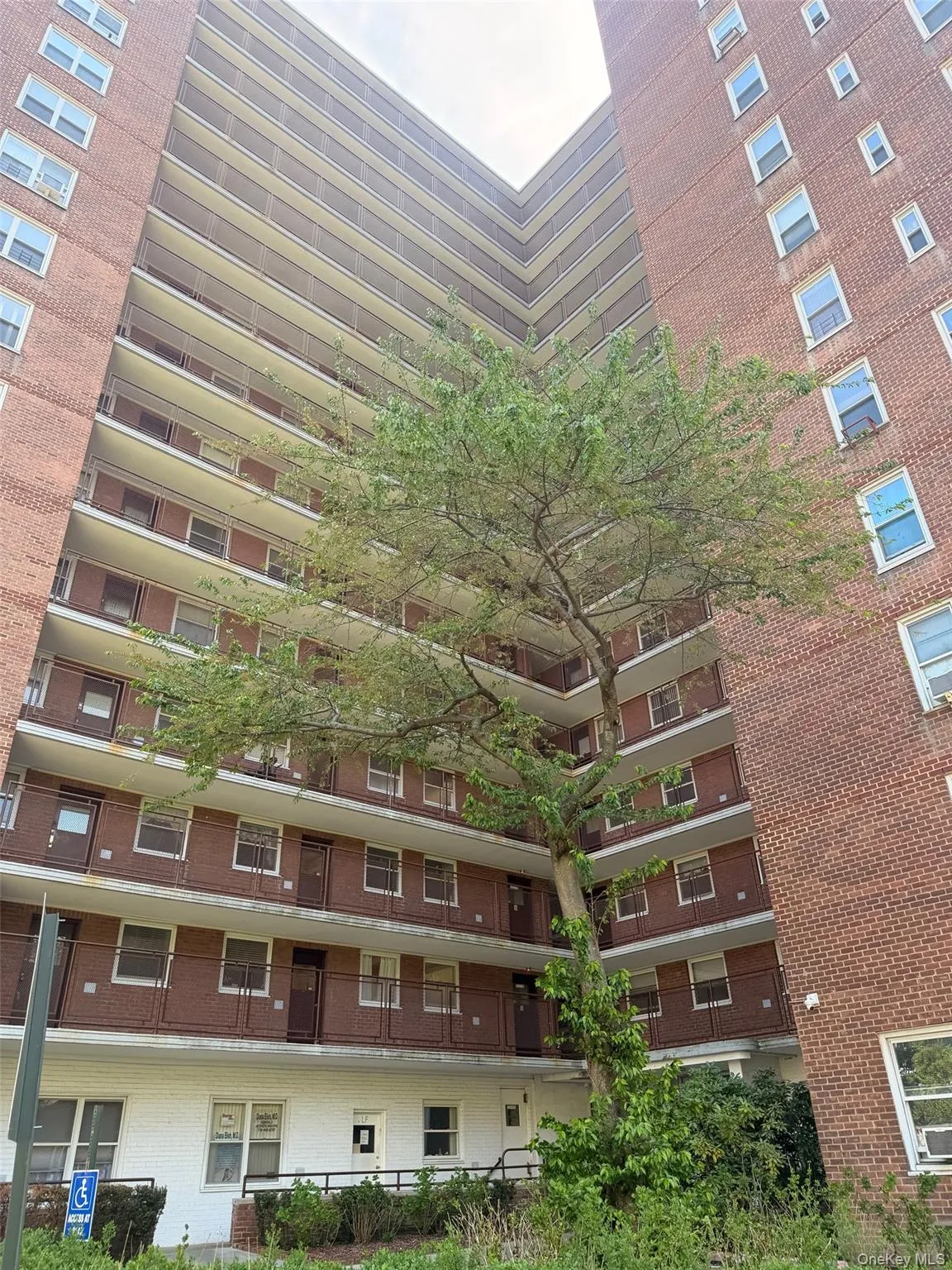 98-20 62nd Drive, New York, NY, 1 Bedroom Bedrooms, 4 Rooms Rooms,1 BathroomBathrooms,Residential Lease,For Rent,62nd,0,953802 98-20 62nd Drive, New York, NY, 1 Bedroom Bedrooms, 4 Rooms Rooms,1 BathroomBathrooms,Residential Lease,For Rent,62nd,0,953802