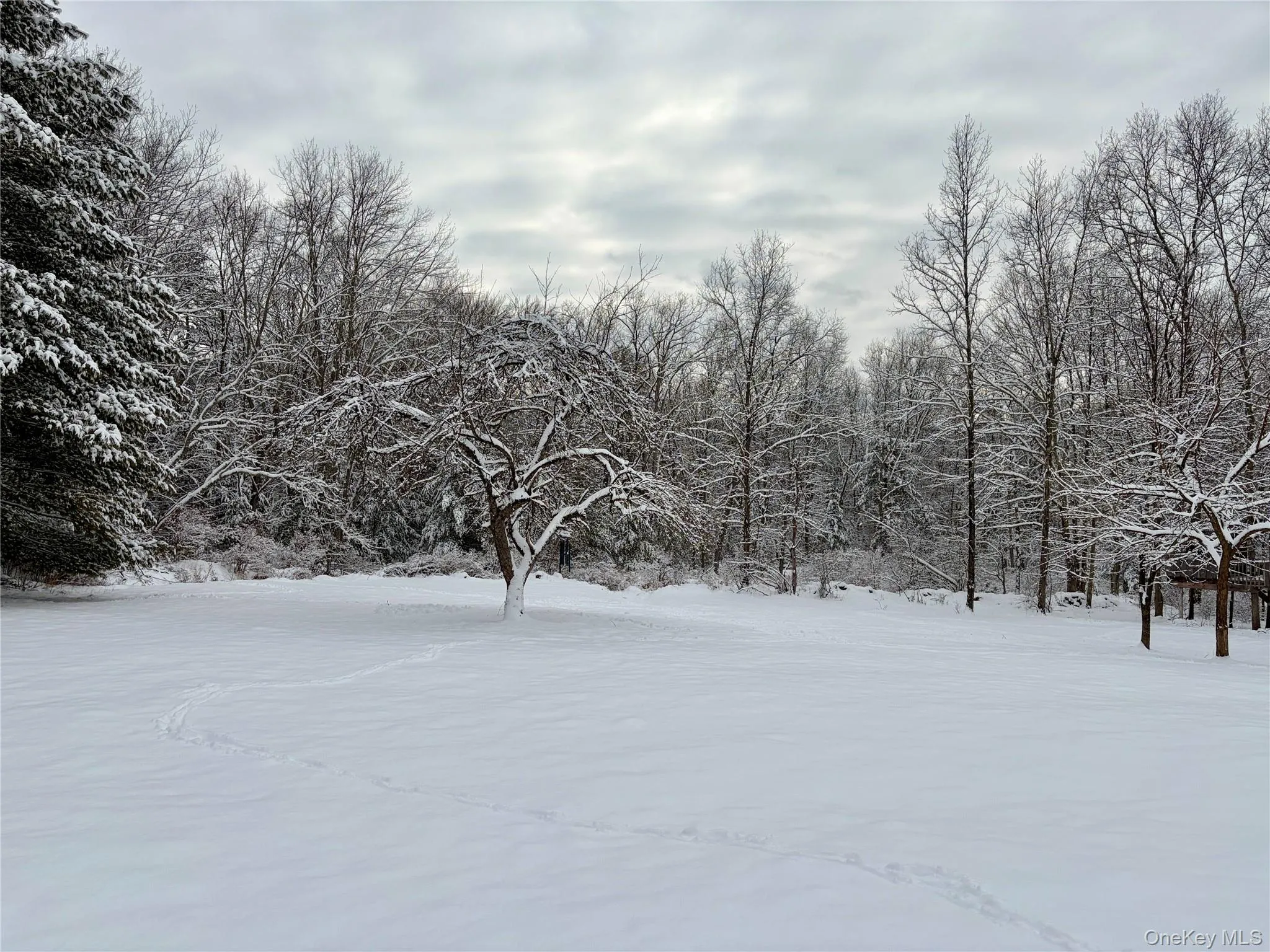 156 Bloom Road, Lumberland, NY, 3 Bedrooms Bedrooms, 6 Rooms Rooms,2 BathroomsBathrooms,Residential Lease,Idx,Bloom,0,953819 156 Bloom Road, Lumberland, NY, 3 Bedrooms Bedrooms, 6 Rooms Rooms,2 BathroomsBathrooms,Residential Lease,Idx,Bloom,0,953819