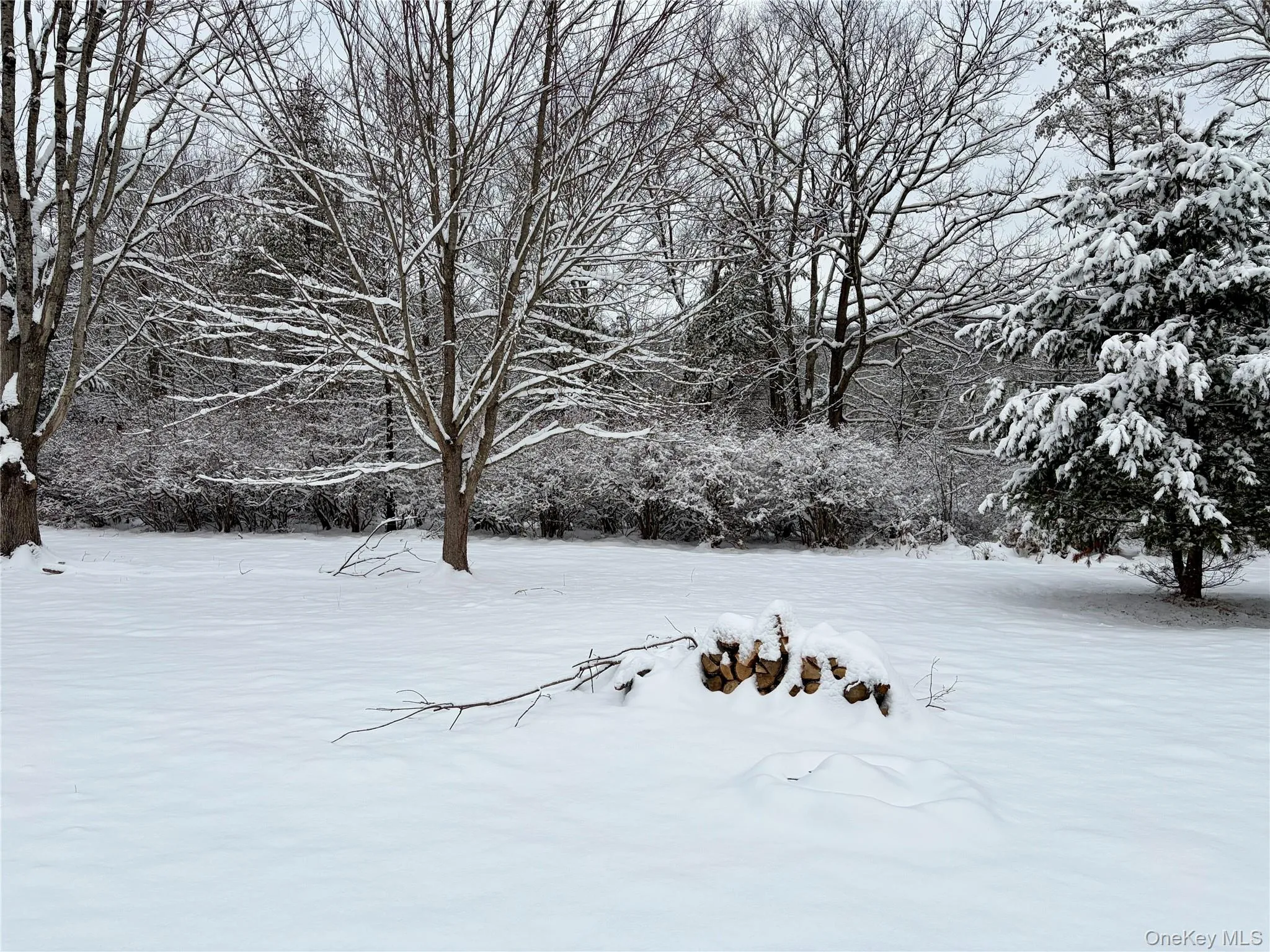 156 Bloom Road, Lumberland, NY, 3 Bedrooms Bedrooms, 6 Rooms Rooms,2 BathroomsBathrooms,Residential Lease,Idx,Bloom,0,953819 156 Bloom Road, Lumberland, NY, 3 Bedrooms Bedrooms, 6 Rooms Rooms,2 BathroomsBathrooms,Residential Lease,Idx,Bloom,0,953819