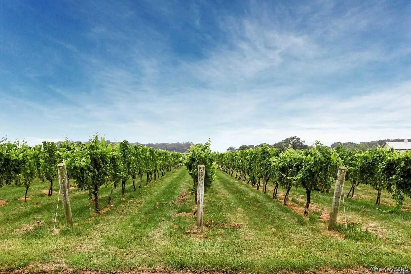 and local award winning wineries. and local award winning wineries.