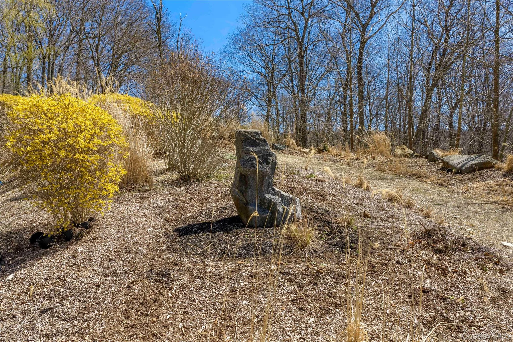 93 Settlers Hill Road, Southeast, NY, ,Land,For Rent,Settlers Hill,0,953840 93 Settlers Hill Road, Southeast, NY, ,Land,For Rent,Settlers Hill,0,953840