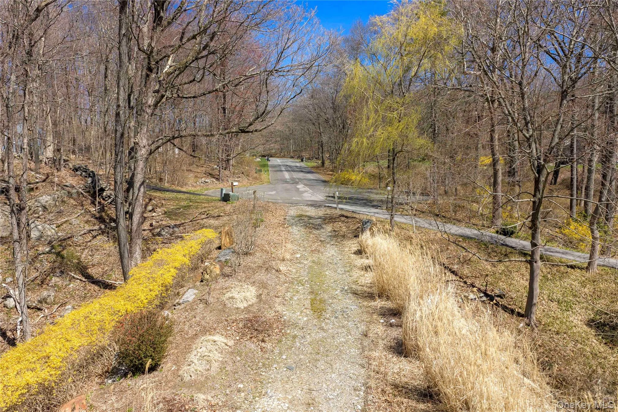 93 Settlers Hill Road, Southeast, NY, ,Land,For Rent,Settlers Hill,0,953840 93 Settlers Hill Road, Southeast, NY, ,Land,For Rent,Settlers Hill,0,953840