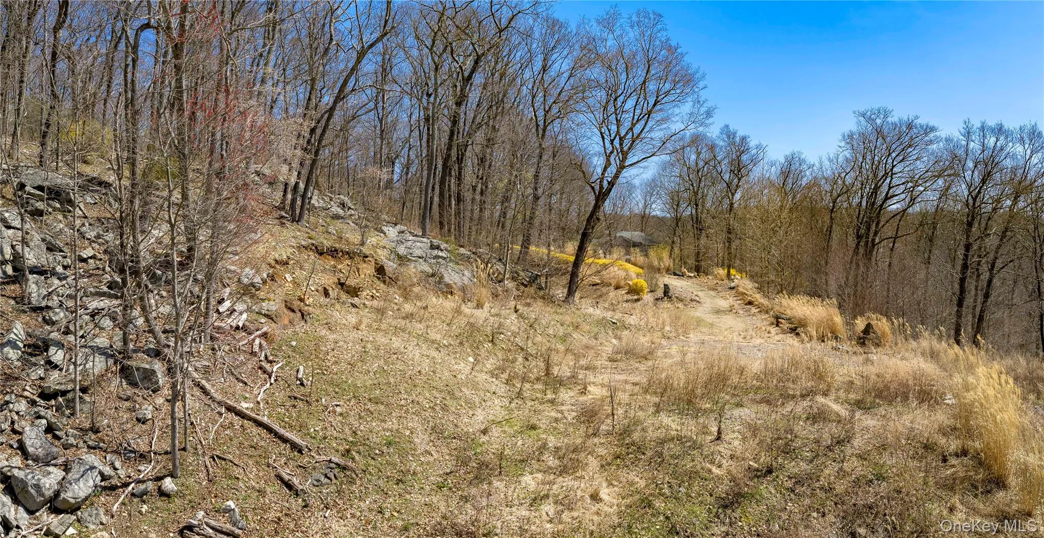 93 Settlers Hill Road, Southeast, NY, ,Land,For Rent,Settlers Hill,0,953840 93 Settlers Hill Road, Southeast, NY, ,Land,For Rent,Settlers Hill,0,953840