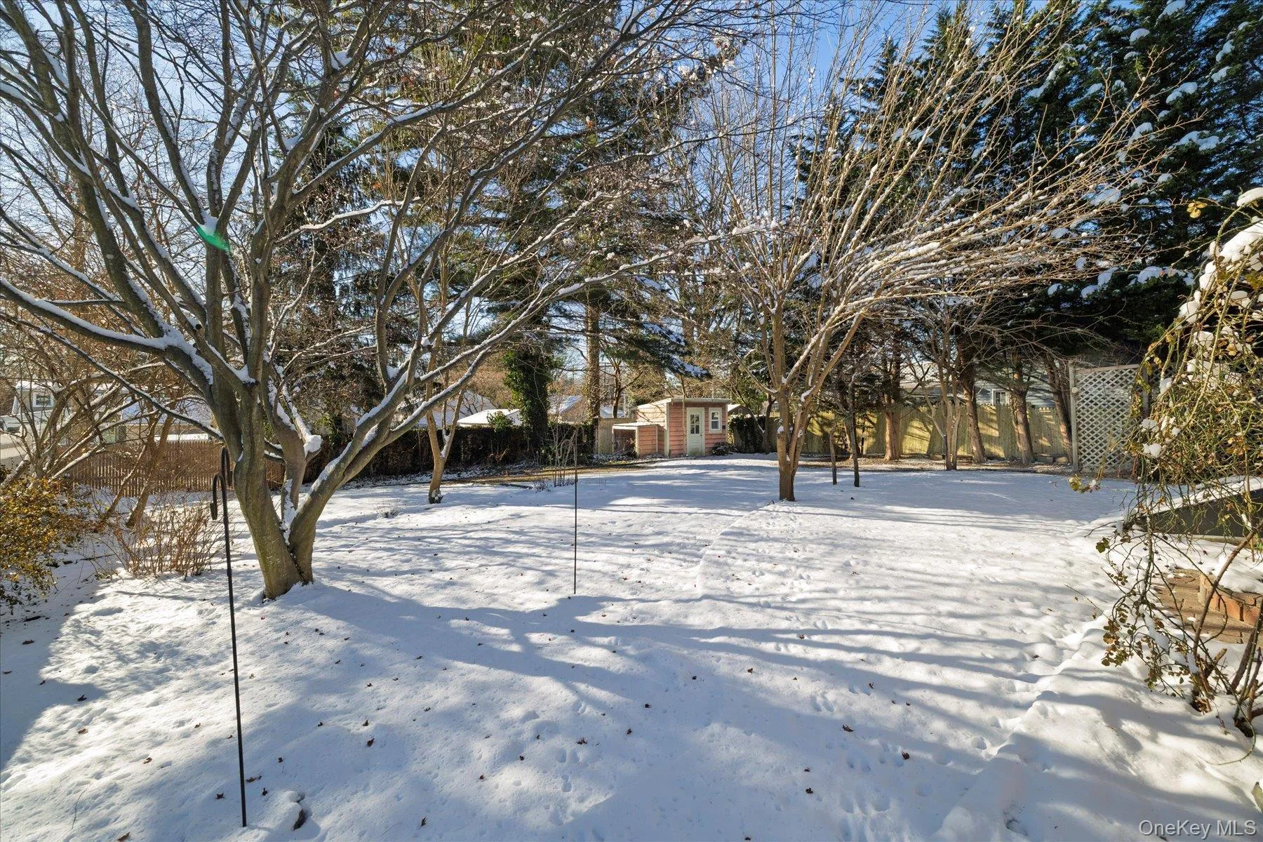 View of yard layered in snow View of yard layered in snow