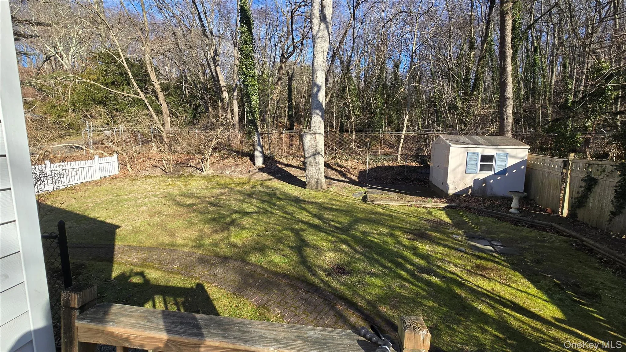 Fenced in yard Fenced in yard