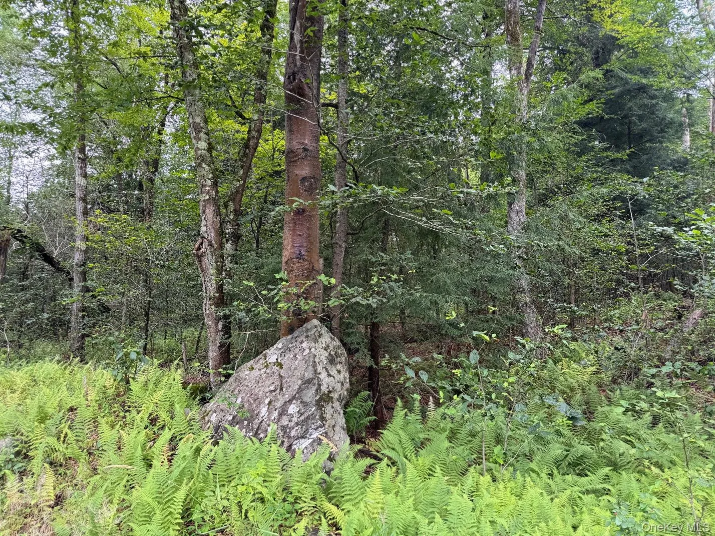 00 Starlight Road, Thompson, NY, ,Land,For Rent,Starlight,0,953999 00 Starlight Road, Thompson, NY, ,Land,For Rent,Starlight,0,953999