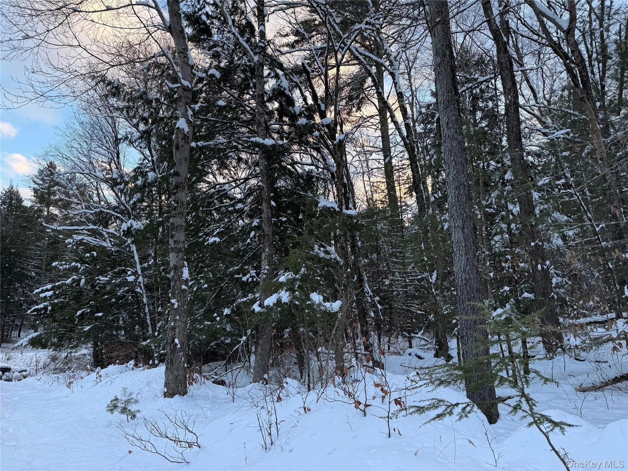 00 Starlight Road, Thompson, NY, ,Land,For Rent,Starlight,0,953999 00 Starlight Road, Thompson, NY, ,Land,For Rent,Starlight,0,953999