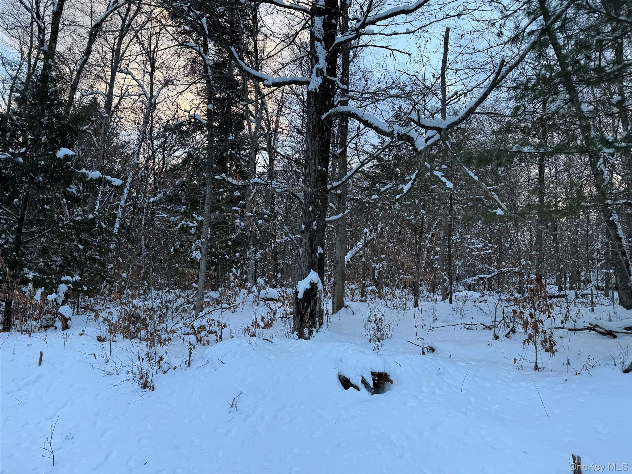 00 Starlight Road, Thompson, NY, ,Land,For Rent,Starlight,0,953999 00 Starlight Road, Thompson, NY, ,Land,For Rent,Starlight,0,953999