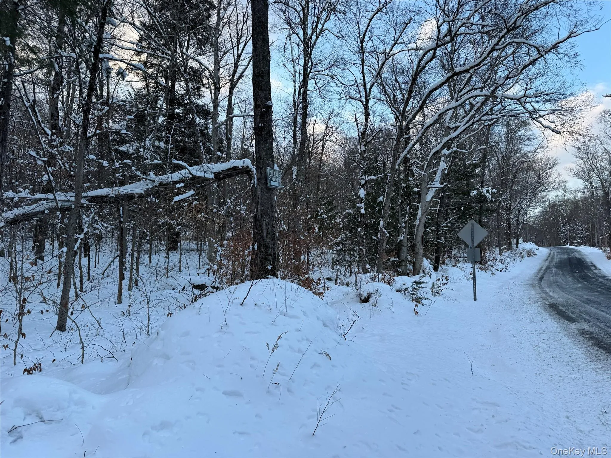 00 Starlight Road, Thompson, NY, ,Land,For Rent,Starlight,0,953999 00 Starlight Road, Thompson, NY, ,Land,For Rent,Starlight,0,953999