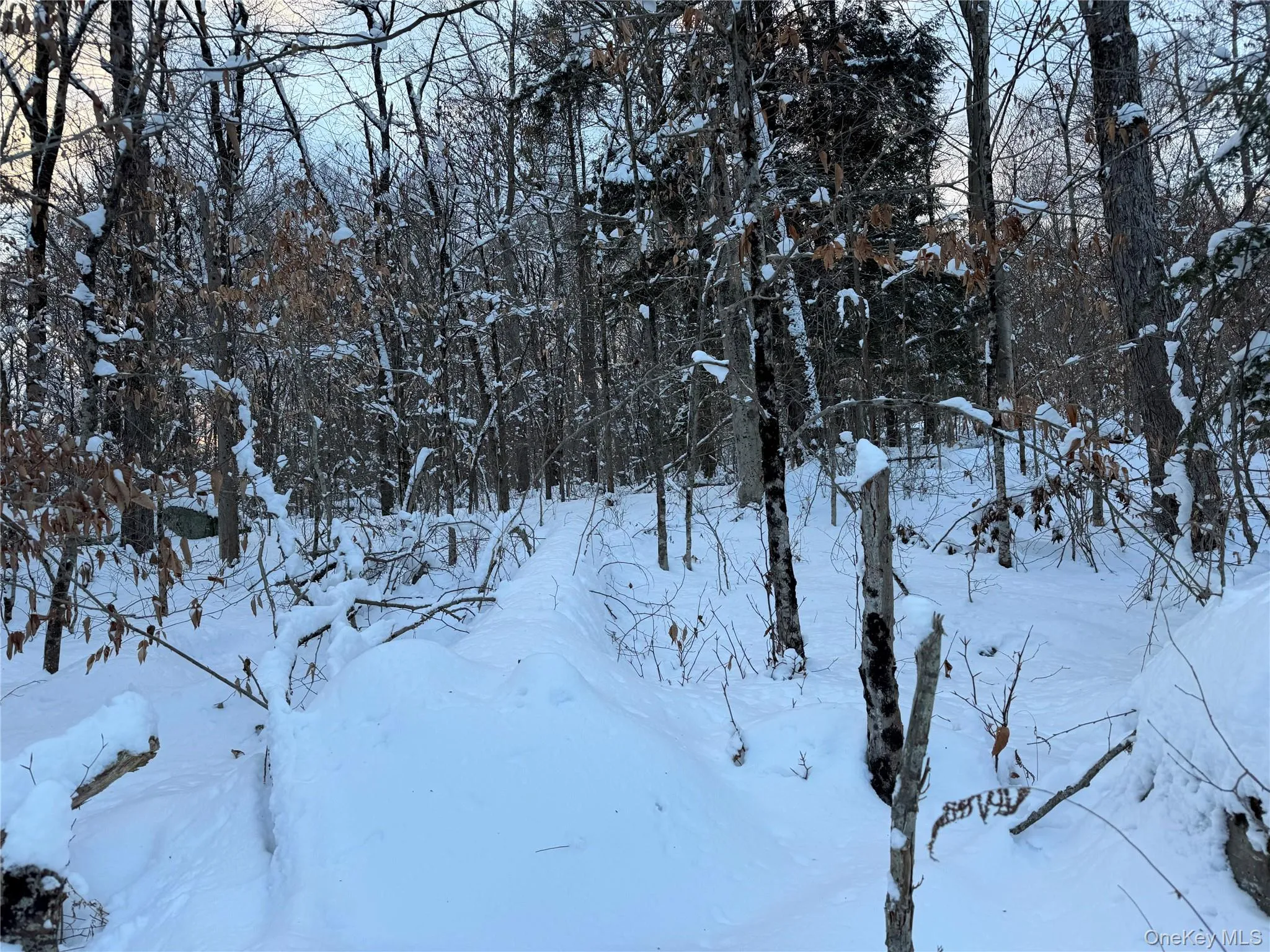 00 Starlight Road, Thompson, NY, ,Land,For Rent,Starlight,0,953999 00 Starlight Road, Thompson, NY, ,Land,For Rent,Starlight,0,953999