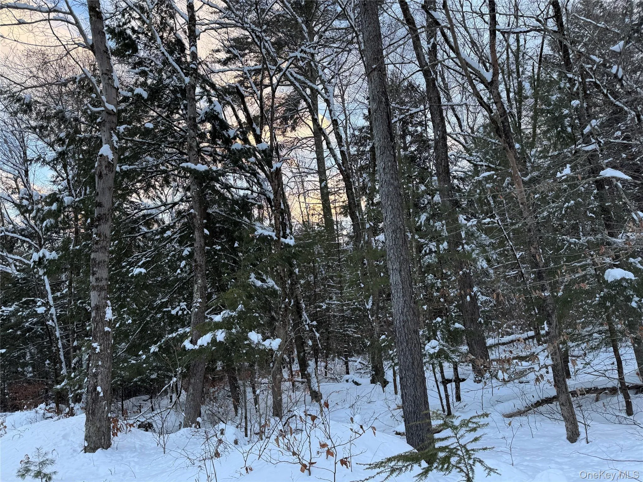 00 Starlight Road, Thompson, NY, ,Land,For Rent,Starlight,0,953999 00 Starlight Road, Thompson, NY, ,Land,For Rent,Starlight,0,953999