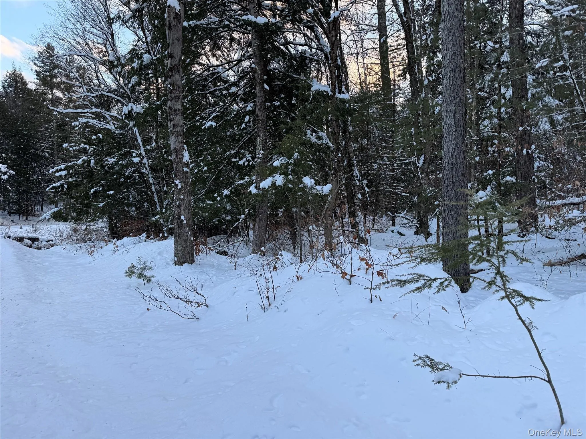00 Starlight Road, Thompson, NY, ,Land,For Rent,Starlight,0,953999 00 Starlight Road, Thompson, NY, ,Land,For Rent,Starlight,0,953999