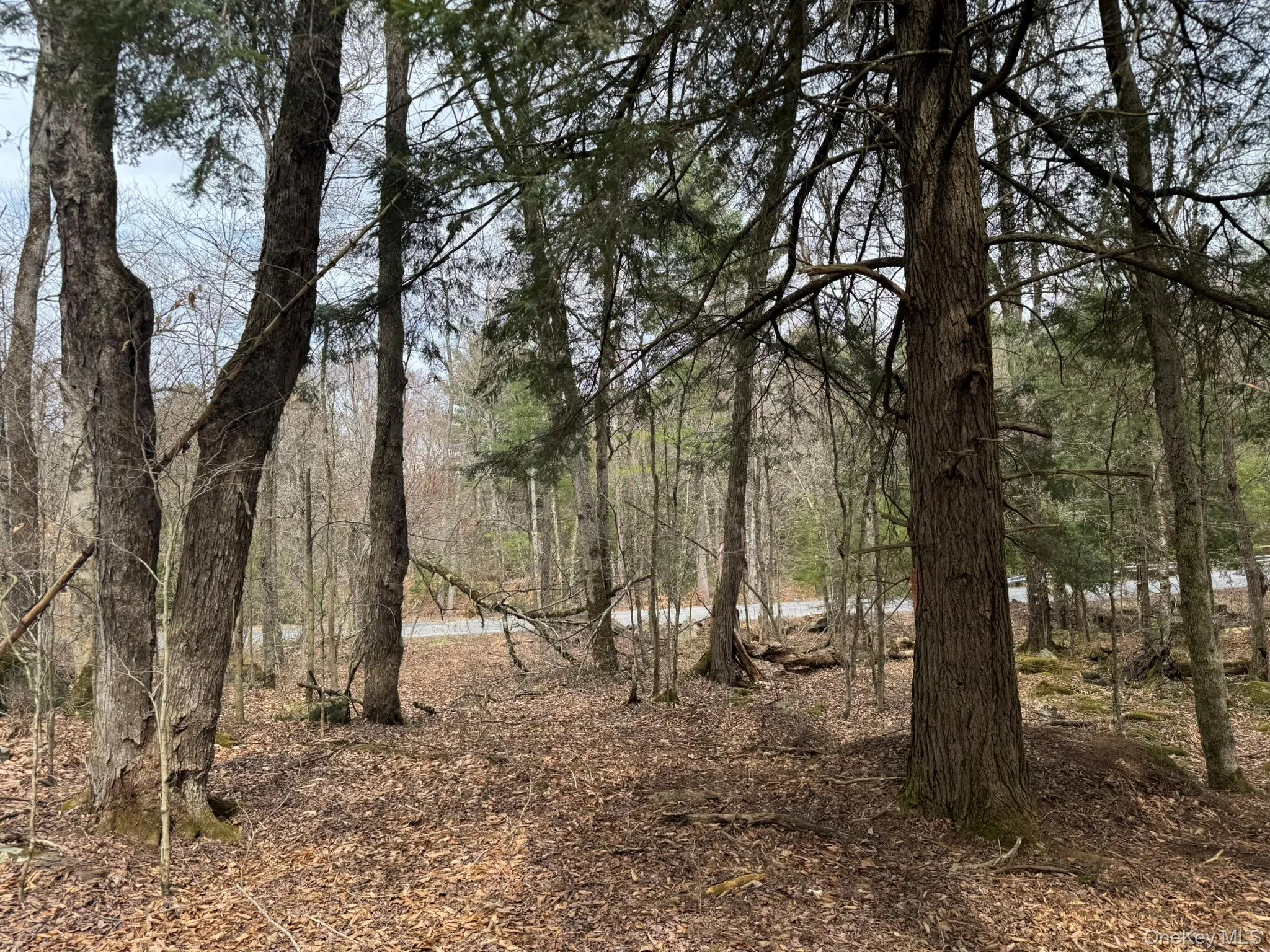 00 Starlight Road, Thompson, NY, ,Land,For Rent,Starlight,0,953999 00 Starlight Road, Thompson, NY, ,Land,For Rent,Starlight,0,953999