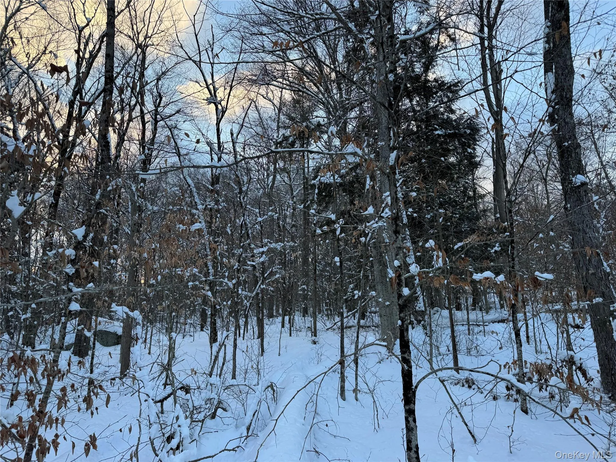 00 Starlight Road, Thompson, NY, ,Land,For Rent,Starlight,0,953999 00 Starlight Road, Thompson, NY, ,Land,For Rent,Starlight,0,953999
