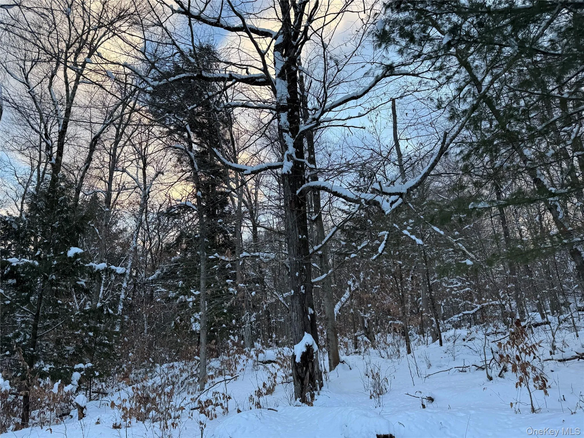 00 Starlight Road, Thompson, NY, ,Land,For Rent,Starlight,0,953999 00 Starlight Road, Thompson, NY, ,Land,For Rent,Starlight,0,953999