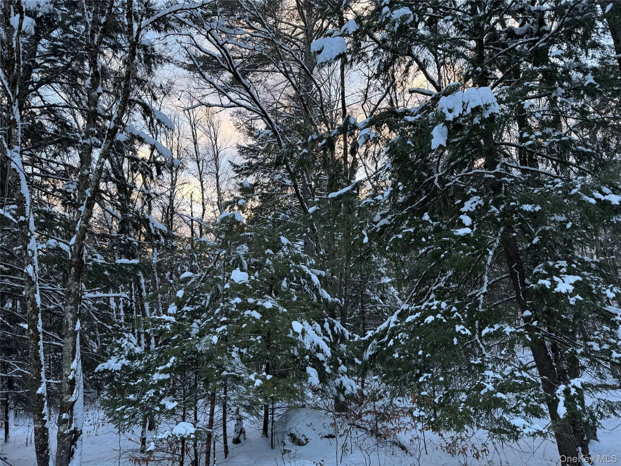 00 Starlight Road, Thompson, NY, ,Land,For Rent,Starlight,0,953999 00 Starlight Road, Thompson, NY, ,Land,For Rent,Starlight,0,953999