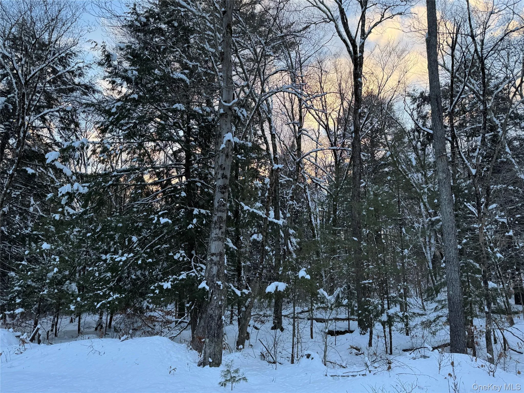 00 Starlight Road, Thompson, NY, ,Land,For Rent,Starlight,0,953999 00 Starlight Road, Thompson, NY, ,Land,For Rent,Starlight,0,953999