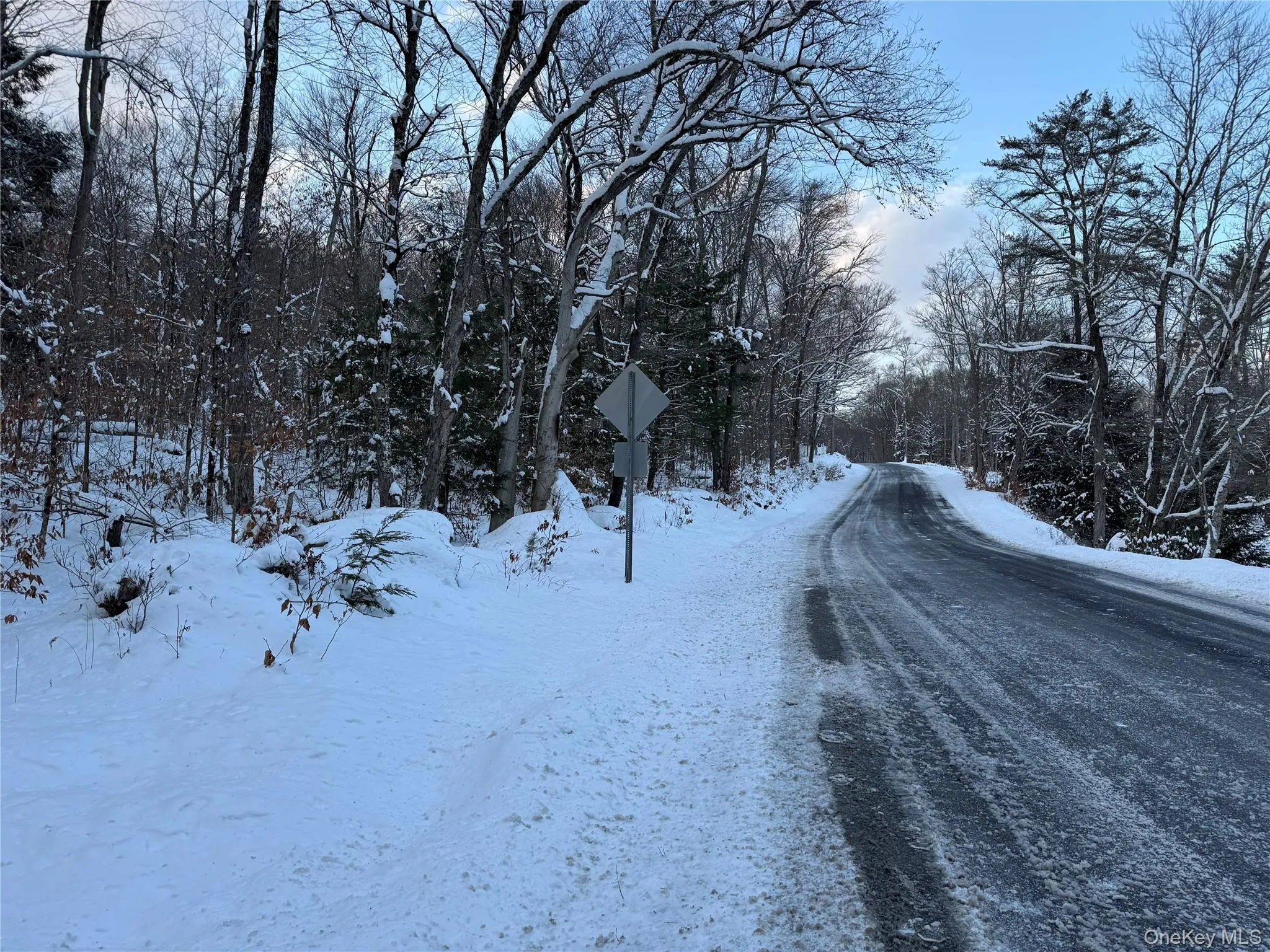 00 Starlight Road, Thompson, NY, ,Land,For Rent,Starlight,0,953999 00 Starlight Road, Thompson, NY, ,Land,For Rent,Starlight,0,953999