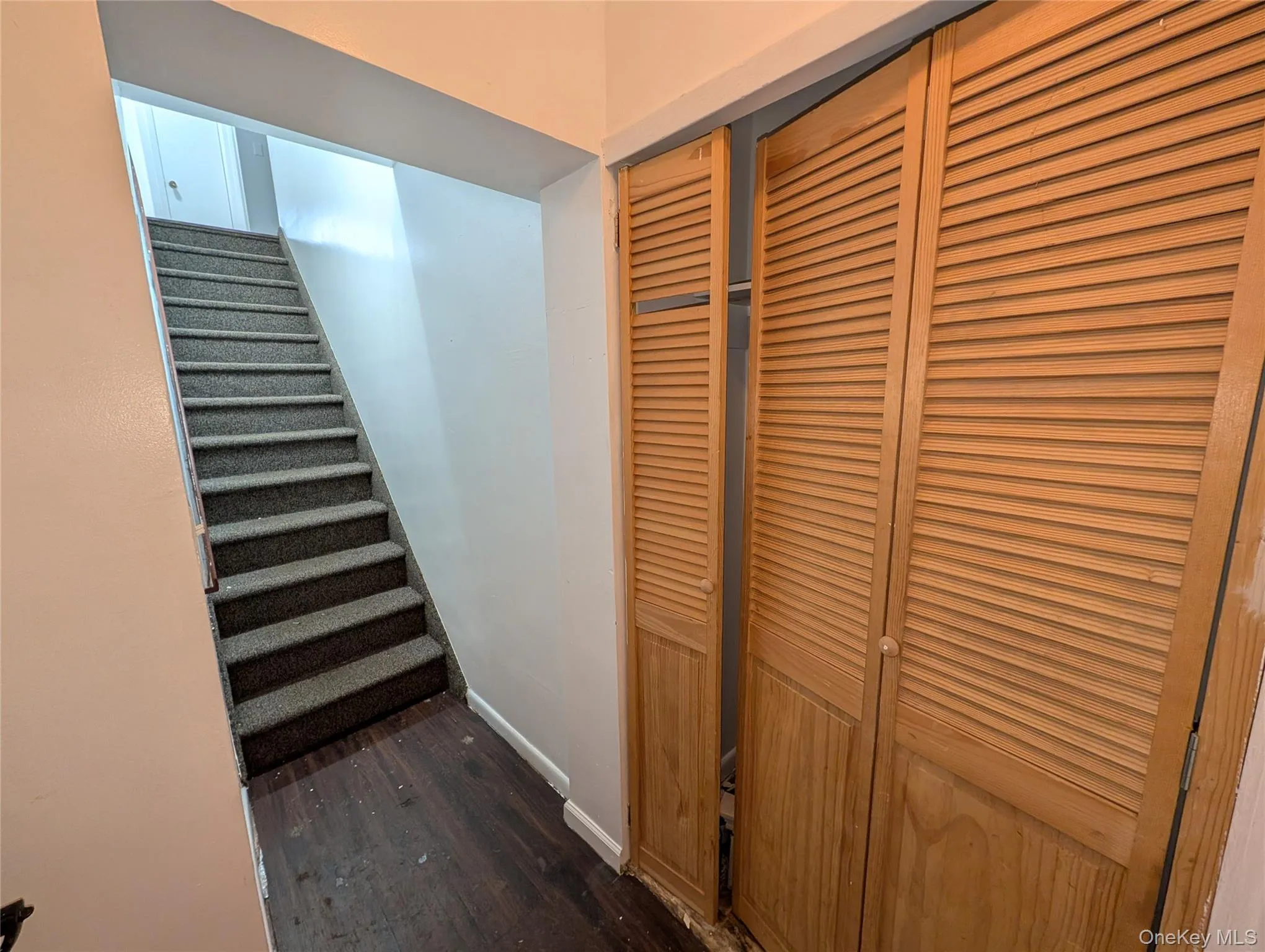 Entrance with closet and stairs leading to the apartment Entrance with closet and stairs leading to the apartment