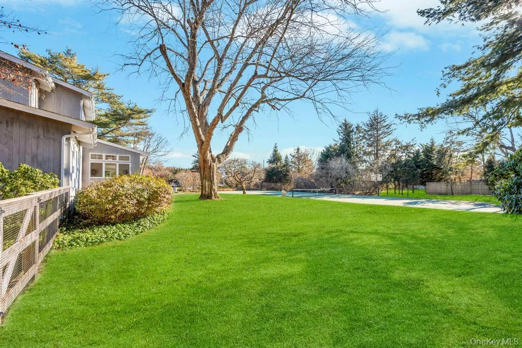 Ample Yard Ample Yard