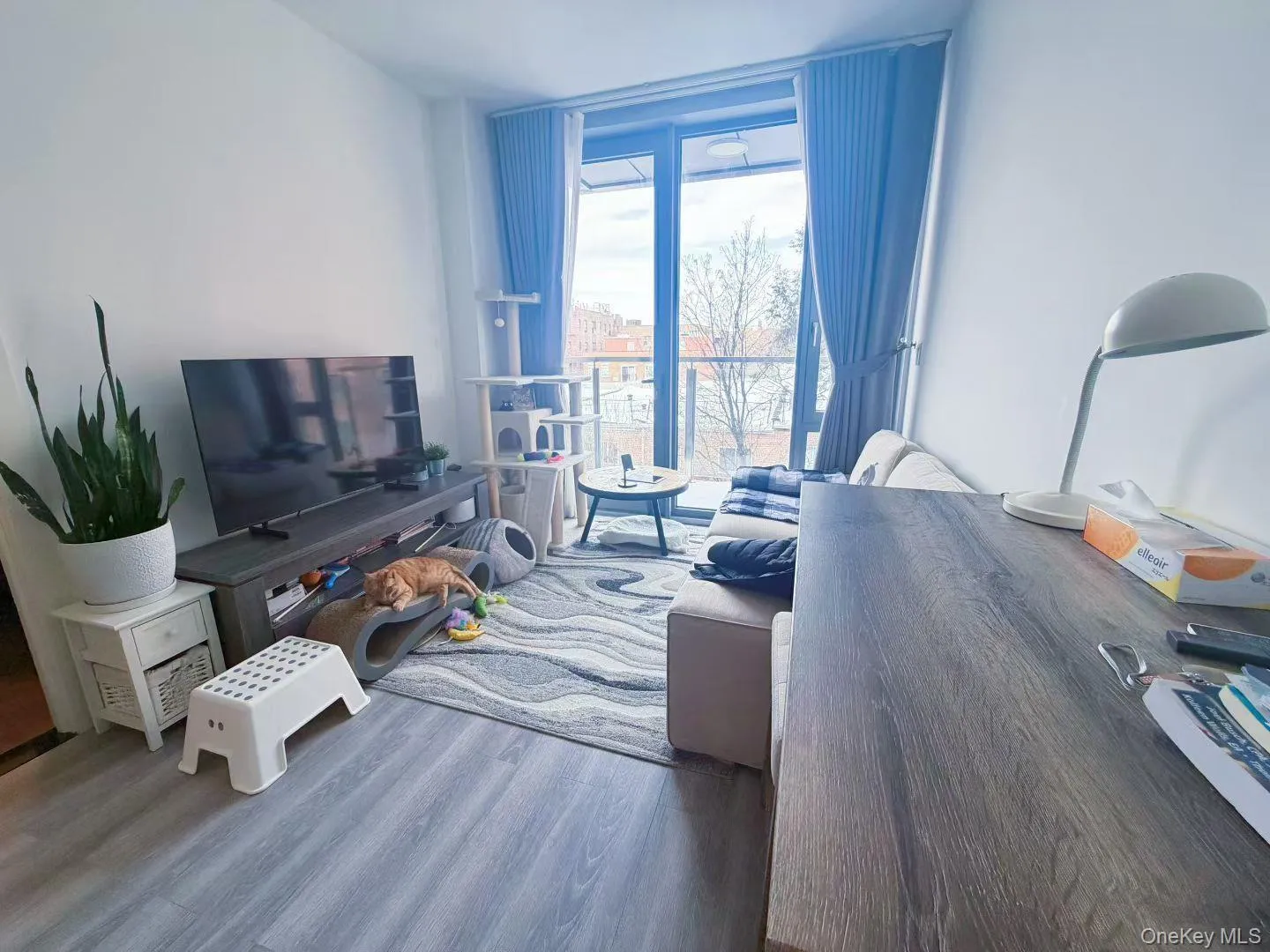 144-25 Sanford Avenue, New York, NY, 2 Bedrooms Bedrooms, 5 Rooms Rooms,2 BathroomsBathrooms,Residential,For Rent,Sanford,0,954225 144-25 Sanford Avenue, New York, NY, 2 Bedrooms Bedrooms, 5 Rooms Rooms,2 BathroomsBathrooms,Residential,For Rent,Sanford,0,954225
