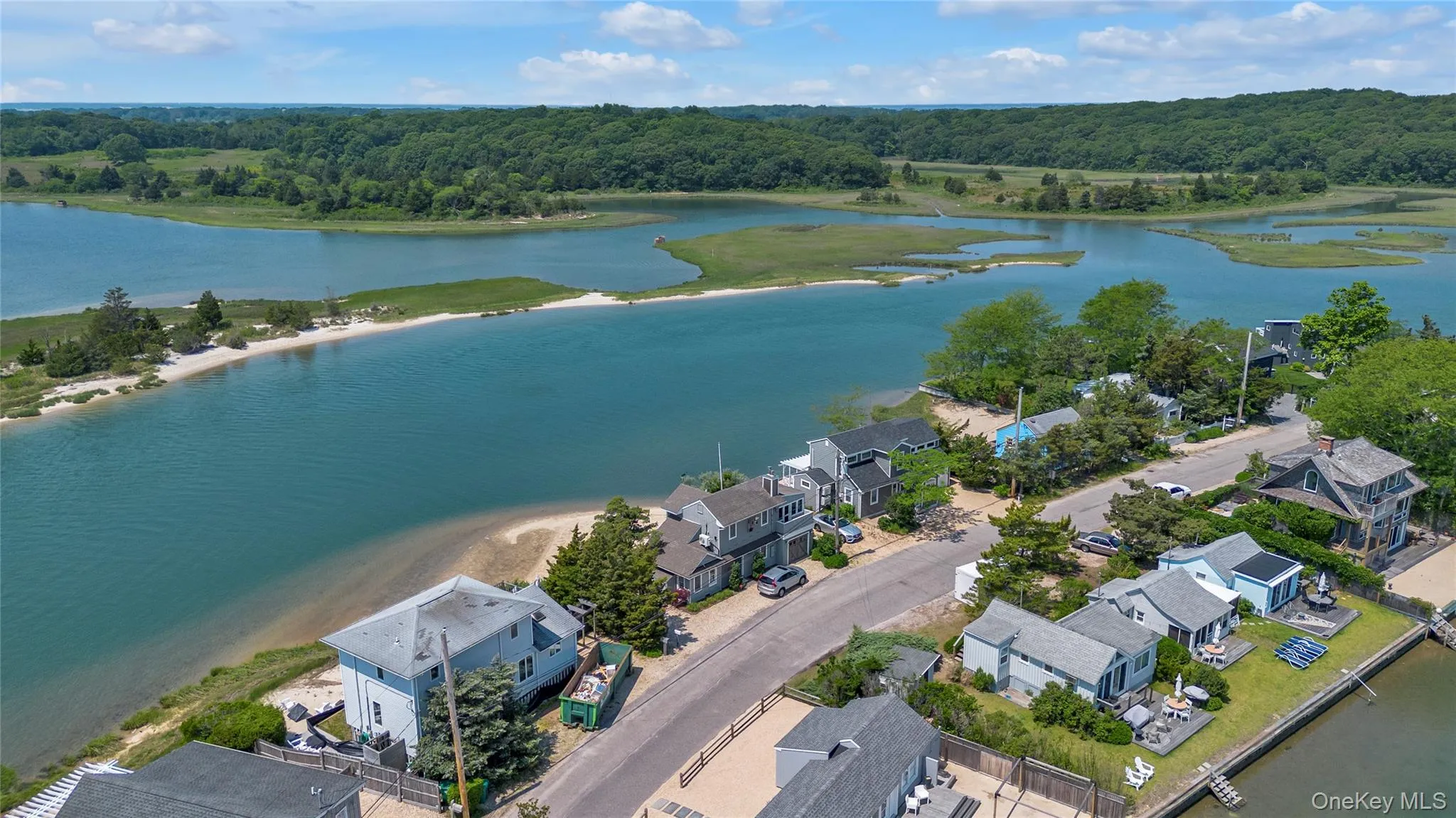 Aerial view of a nearby body of water and a forest Aerial view of a nearby body of water and a forest