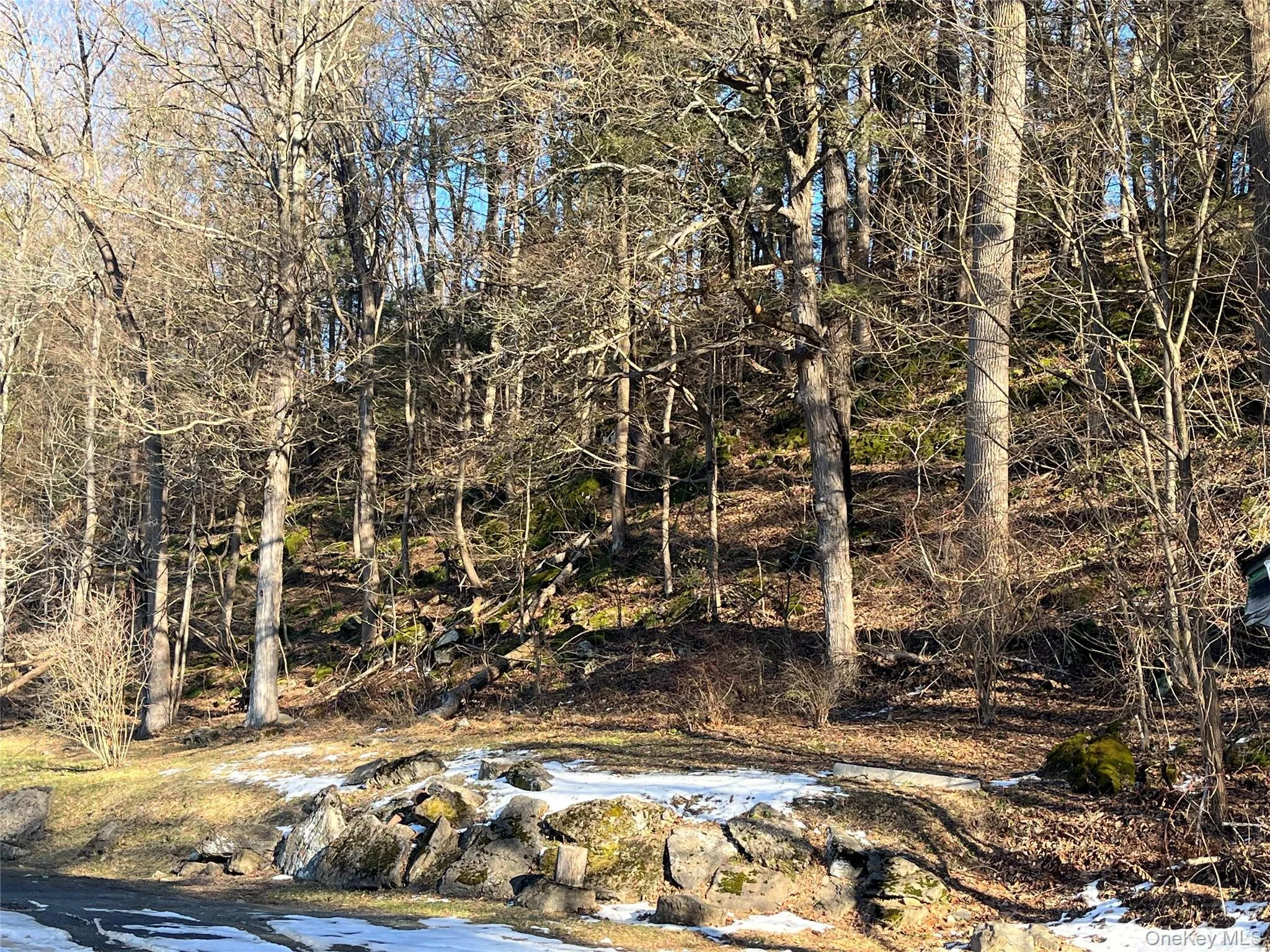 2694 Route 9W, Saugerties, NY, 5 Bedrooms Bedrooms, 9 Rooms Rooms,2 BathroomsBathrooms,Residential Lease,Idx,Route 9W,0,954370 2694 Route 9W, Saugerties, NY, 5 Bedrooms Bedrooms, 9 Rooms Rooms,2 BathroomsBathrooms,Residential Lease,Idx,Route 9W,0,954370