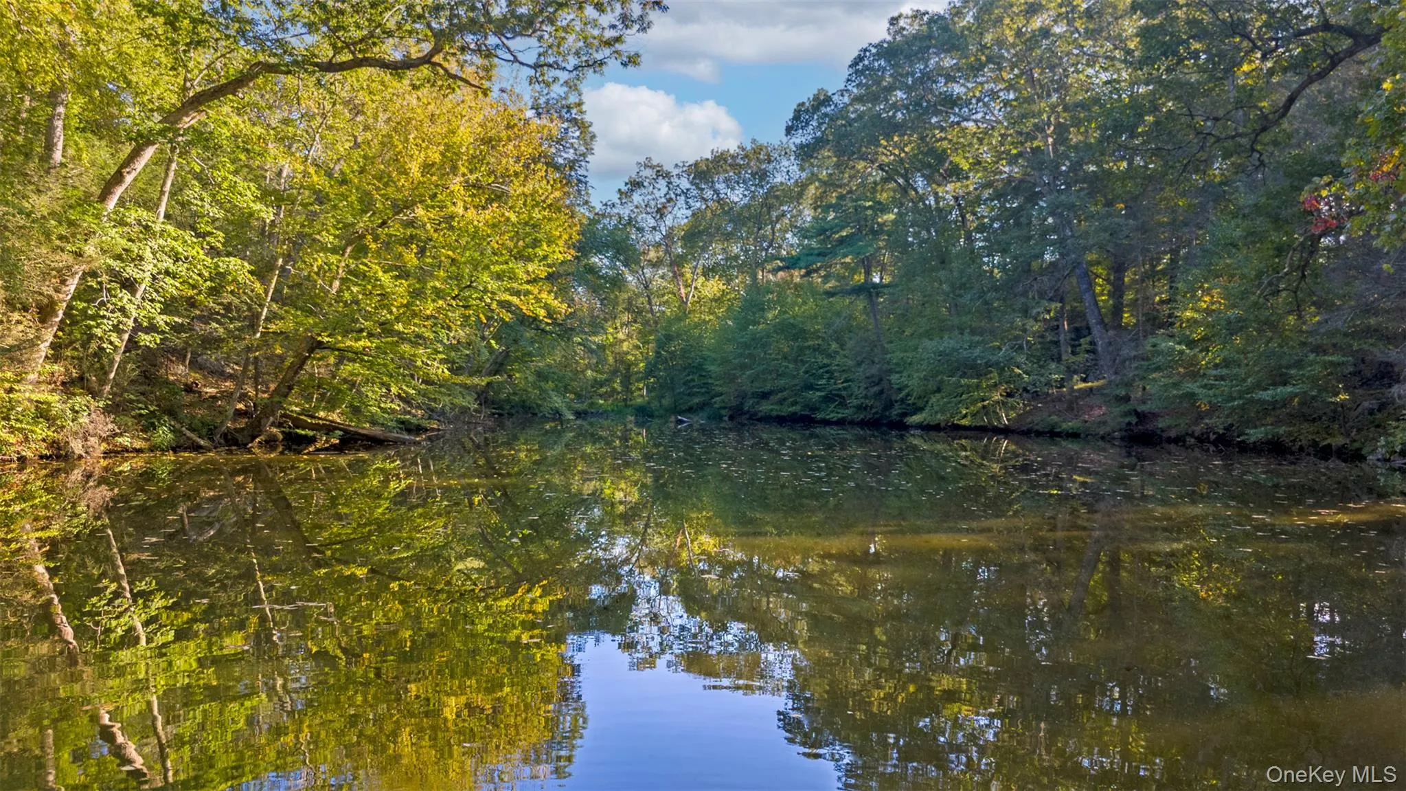 12 Bishop Park Road, Pound Ridge, NY, 4 Bedrooms Bedrooms, 9 Rooms Rooms,3 BathroomsBathrooms,Residential Lease,Idx,Bishop Park,0,954450 12 Bishop Park Road, Pound Ridge, NY, 4 Bedrooms Bedrooms, 9 Rooms Rooms,3 BathroomsBathrooms,Residential Lease,Idx,Bishop Park,0,954450