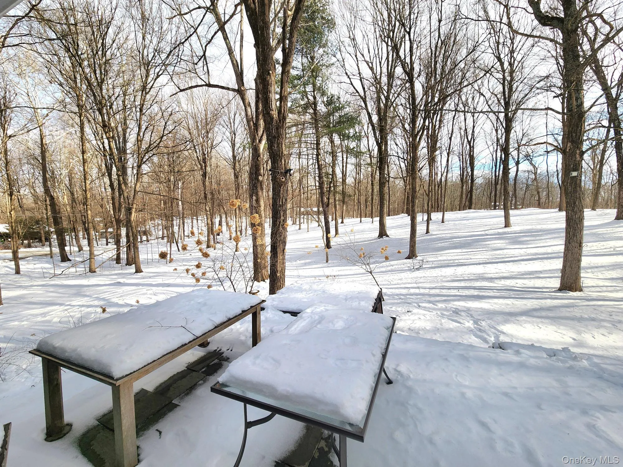 View of yard View of yard