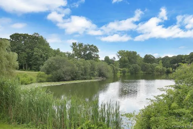Lake view Lake view
