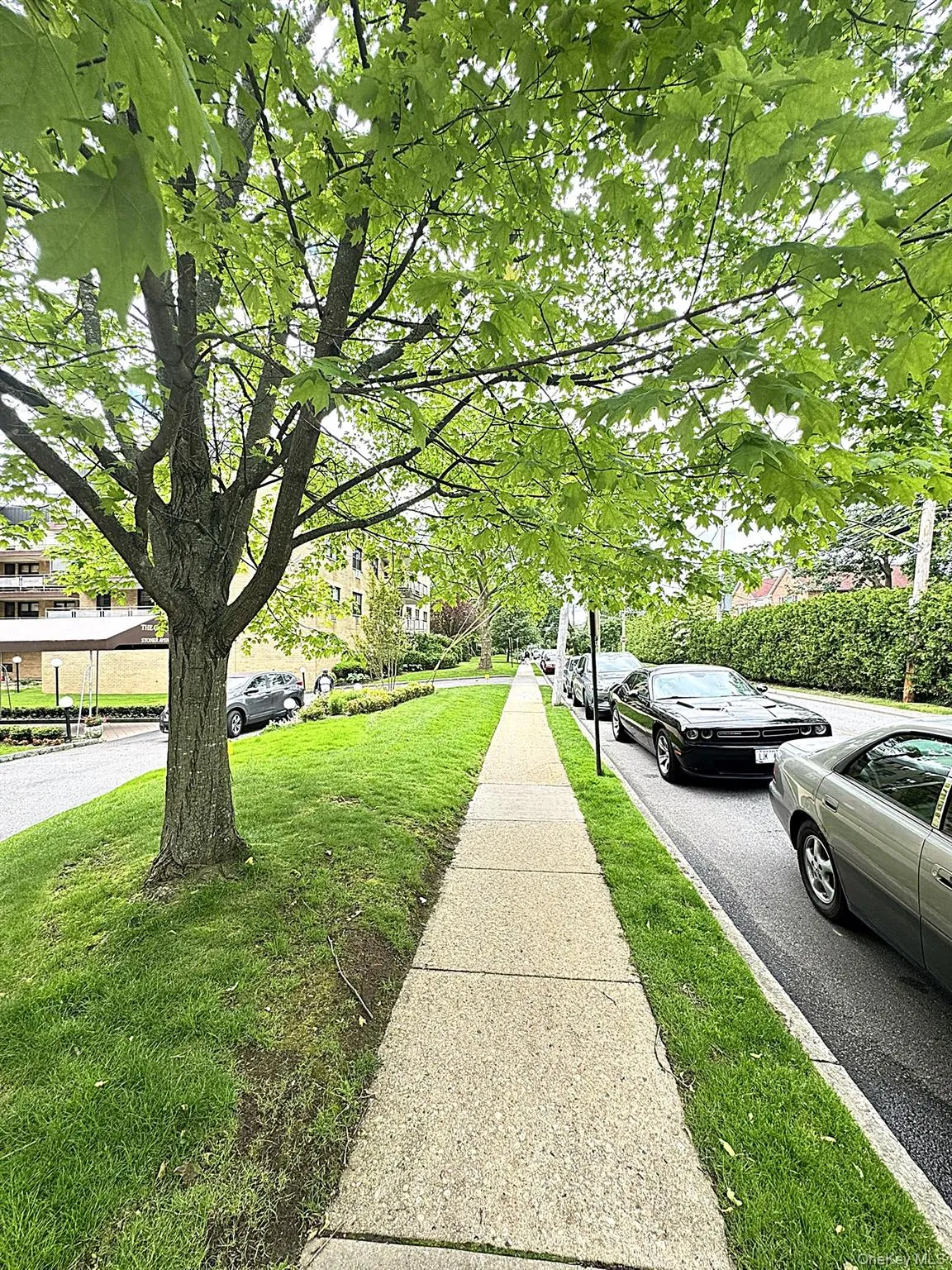 40 Stoner, North Hempstead, NY, 1 Bedroom Bedrooms, 4 Rooms Rooms,1 BathroomBathrooms,Residential Lease,Idx,Stoner,0,954735 40 Stoner, North Hempstead, NY, 1 Bedroom Bedrooms, 4 Rooms Rooms,1 BathroomBathrooms,Residential Lease,Idx,Stoner,0,954735