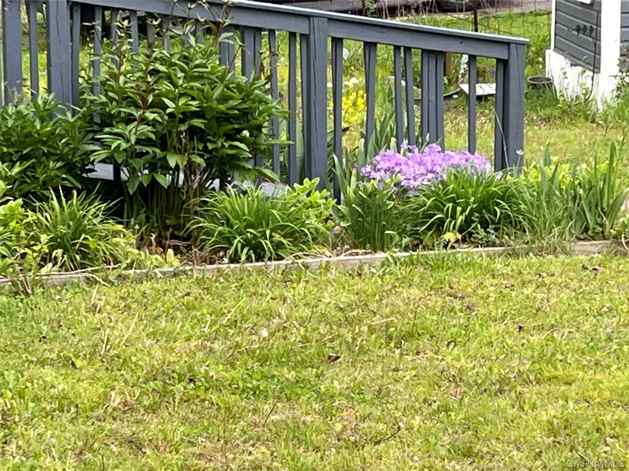 Opportunities for gardening are many. Wether you like flowers or veges, there is a space for your green thumb. Opportunities for gardening are many. Wether you like flowers or veges, there is a space for your green thumb.