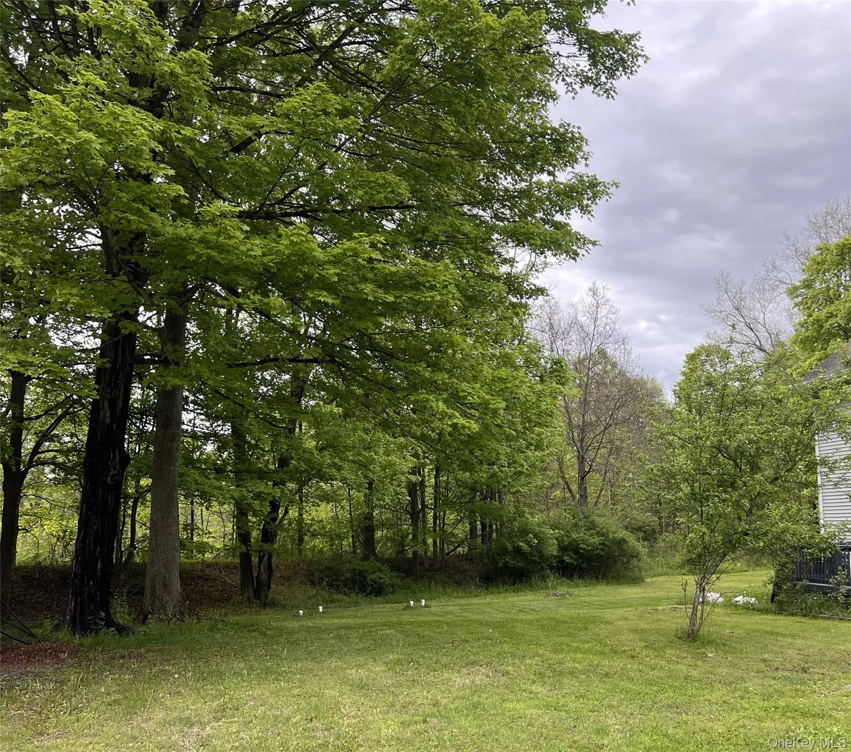 13 Herlings Road, Mamakating, NY, 4 Bedrooms Bedrooms, 12 Rooms Rooms,2 BathroomsBathrooms,Residential Lease,For Rent,Herlings,0,954806 13 Herlings Road, Mamakating, NY, 4 Bedrooms Bedrooms, 12 Rooms Rooms,2 BathroomsBathrooms,Residential Lease,For Rent,Herlings,0,954806