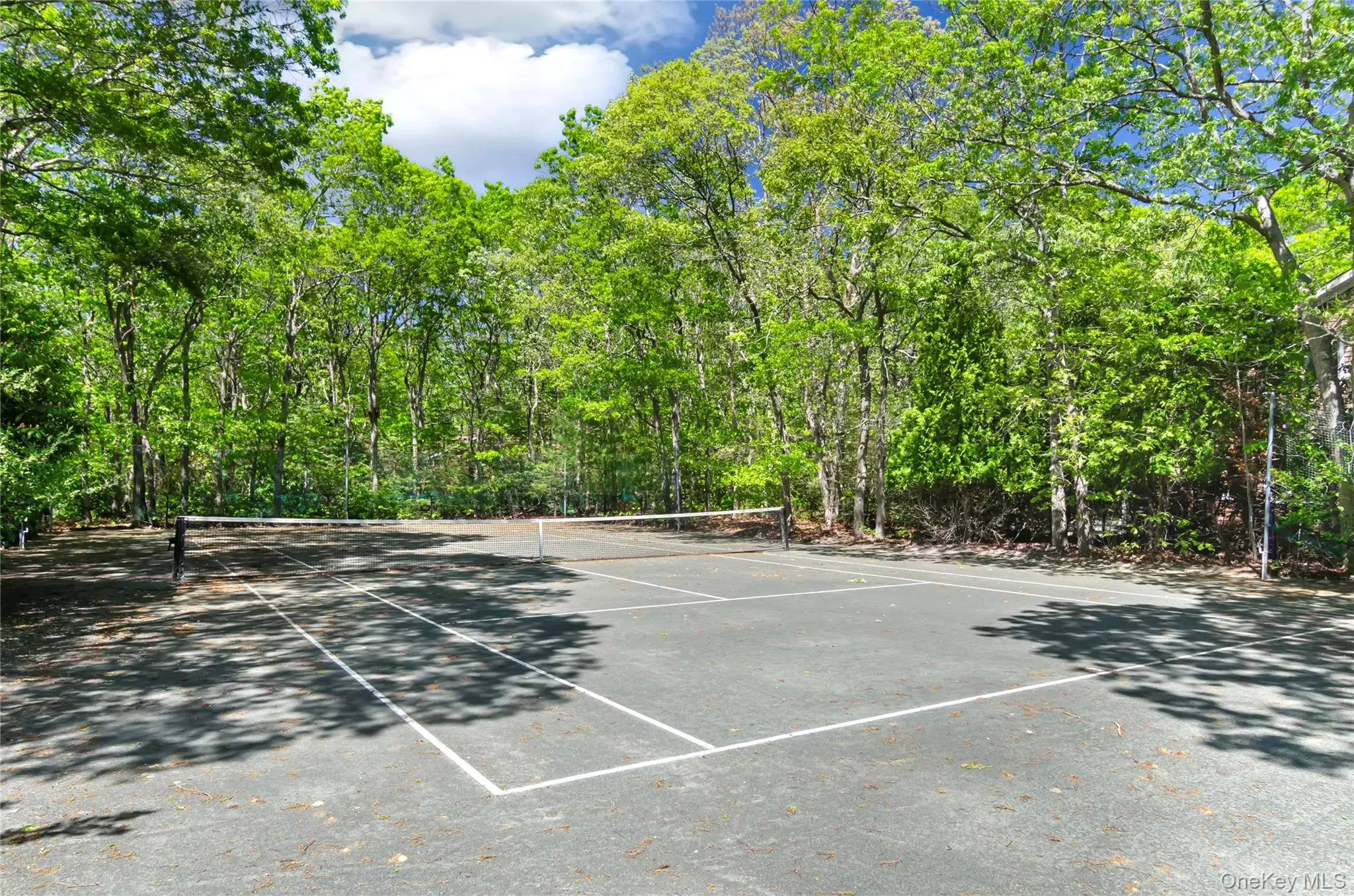 24 Quarter Road, Southampton, NY, 6 Bedrooms Bedrooms, 9 Rooms Rooms,3 BathroomsBathrooms,Residential Lease,Idx,Quarter,0,954815 24 Quarter Road, Southampton, NY, 6 Bedrooms Bedrooms, 9 Rooms Rooms,3 BathroomsBathrooms,Residential Lease,Idx,Quarter,0,954815