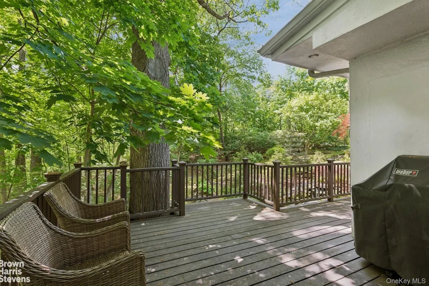383 254th Street, New York, NY, 4 Bedrooms Bedrooms, 7 Rooms Rooms,3 BathroomsBathrooms,Residential,For Rent,254th,0,954990 383 254th Street, New York, NY, 4 Bedrooms Bedrooms, 7 Rooms Rooms,3 BathroomsBathrooms,Residential,For Rent,254th,0,954990
