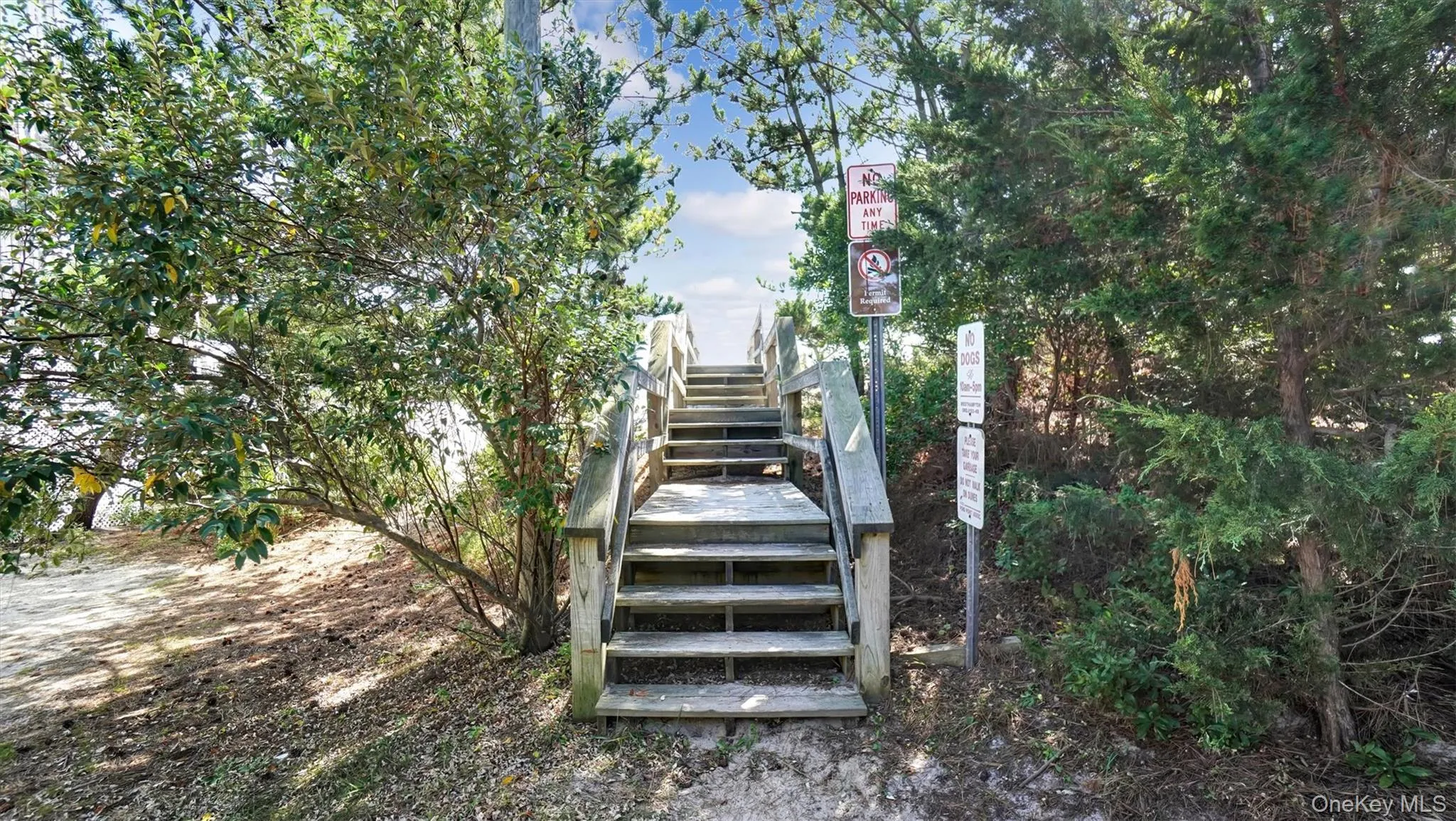 431 Dune Road, Southampton, NY, 4 Bedrooms Bedrooms, 12 Rooms Rooms,4 BathroomsBathrooms,Residential,For Rent,Dune Road,0,955028 431 Dune Road, Southampton, NY, 4 Bedrooms Bedrooms, 12 Rooms Rooms,4 BathroomsBathrooms,Residential,For Rent,Dune Road,0,955028